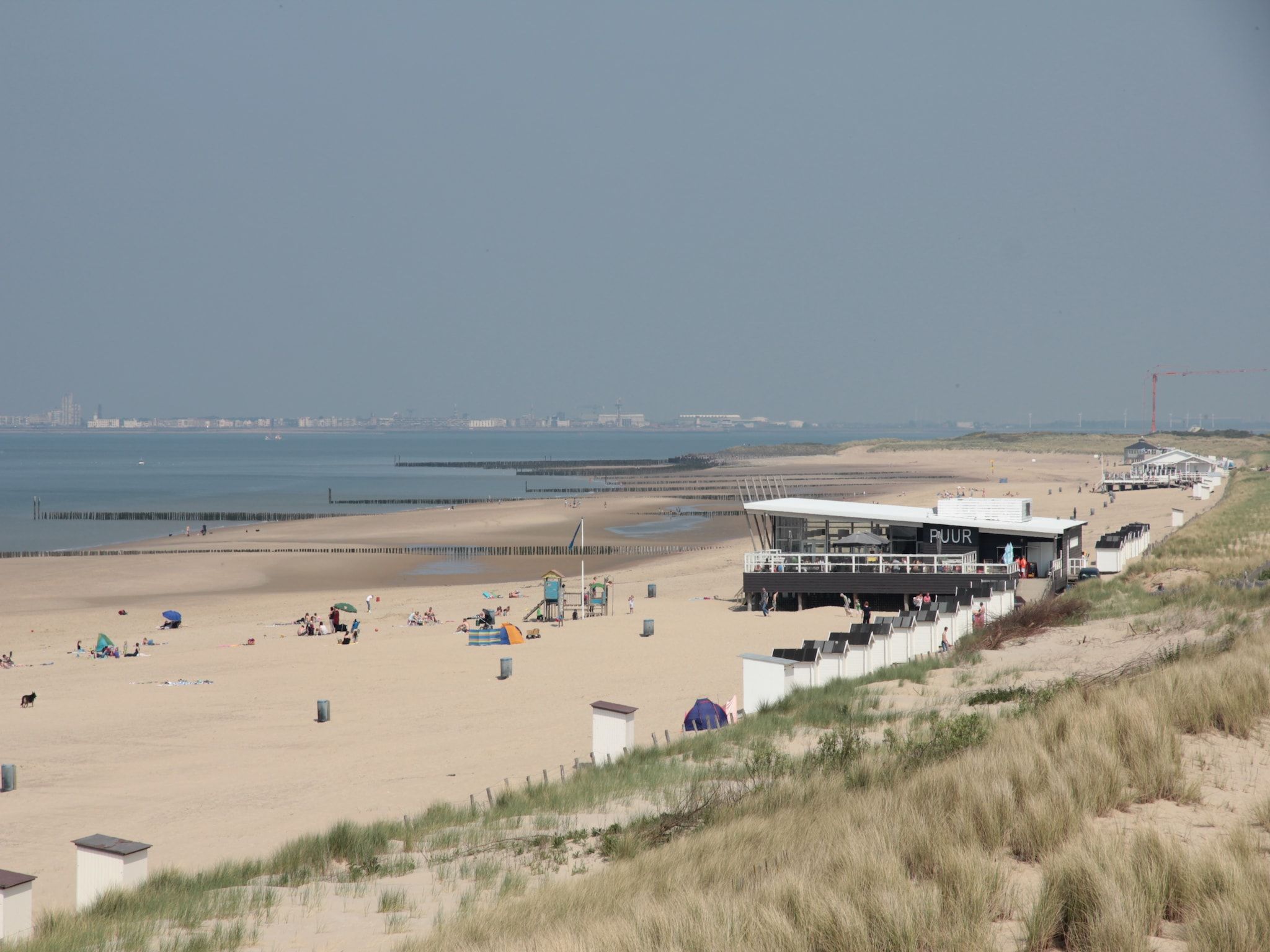 De omgeving van Het Platte Putje - Huisdiervrij - nr4 in Groede