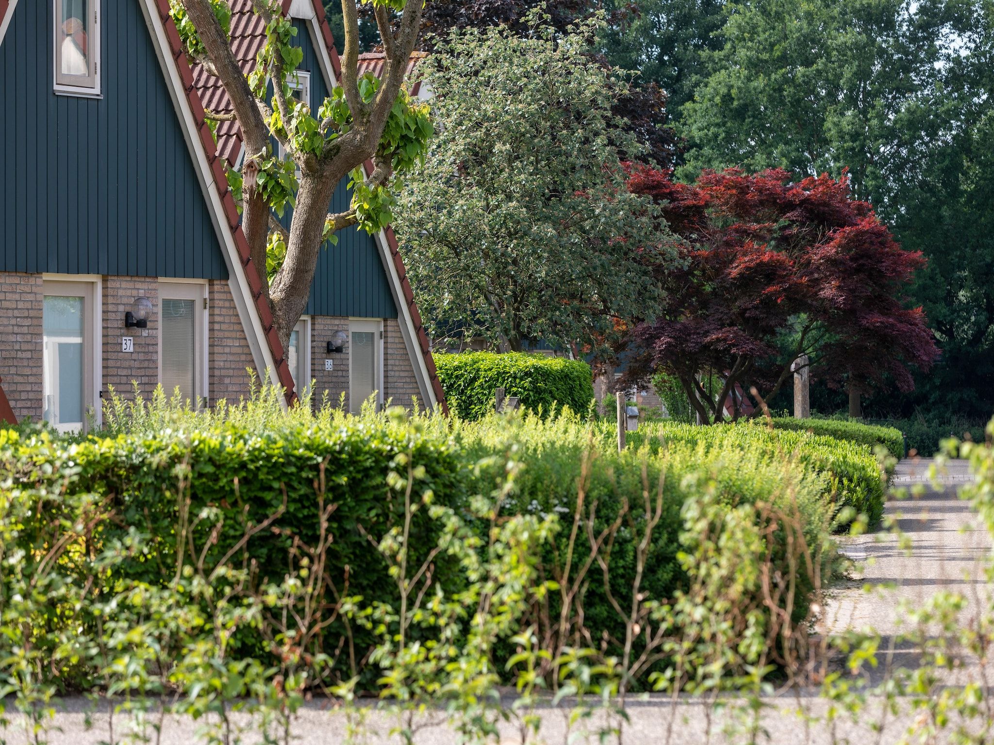 Parkfaciliteiten bij Vakantie bij Meeussen - Molendal 1 in Plasmolen