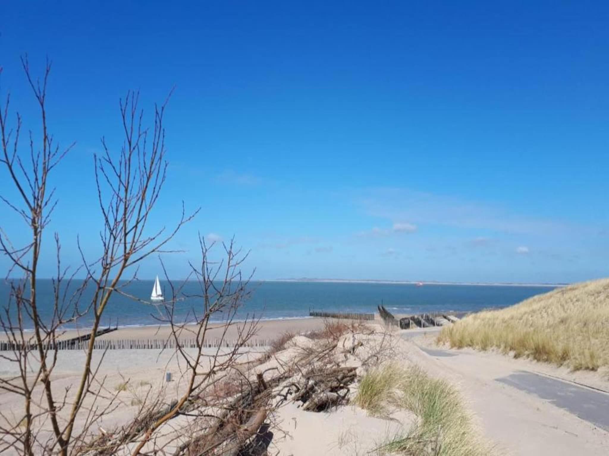 De omgeving van Vakantiepark Zeebad 2 in Breskens