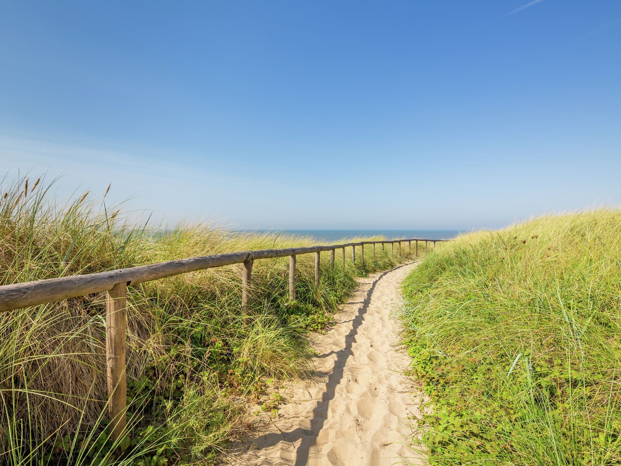 Kustpark Egmond aan Zee 1 in Egmond aan zee - Foto 28 van 40