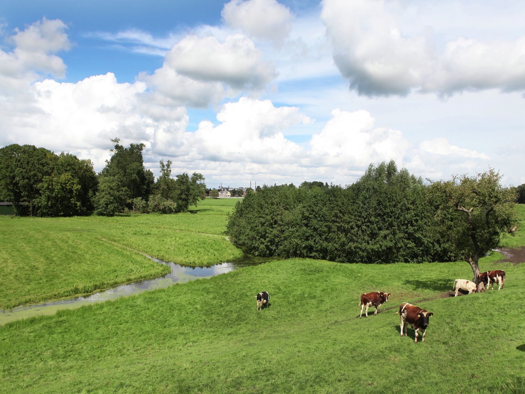 Hoeve Hoogst Tevreden in Leerdam - Foto 37 van 40