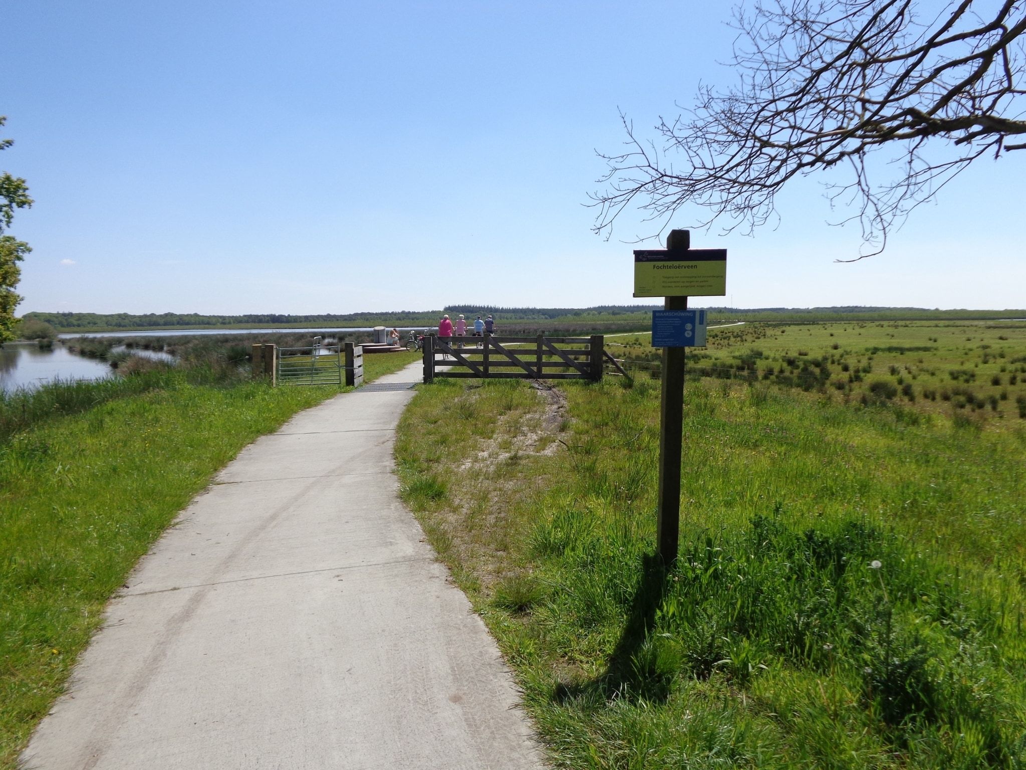 De omgeving van Singelhoeve in Fochteloo