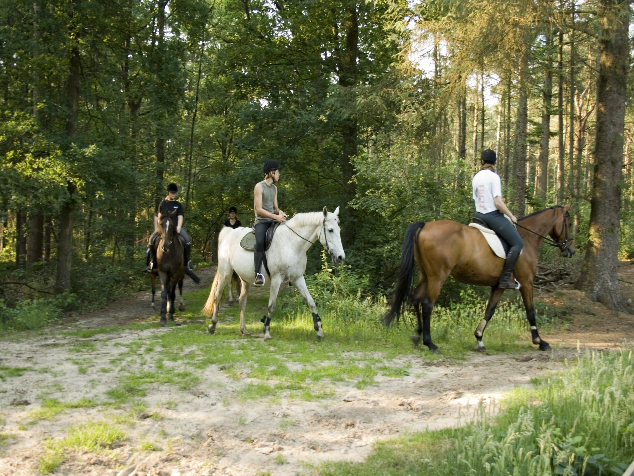 De omgeving van Buitenplaats Gerner 5 in Dalfsen