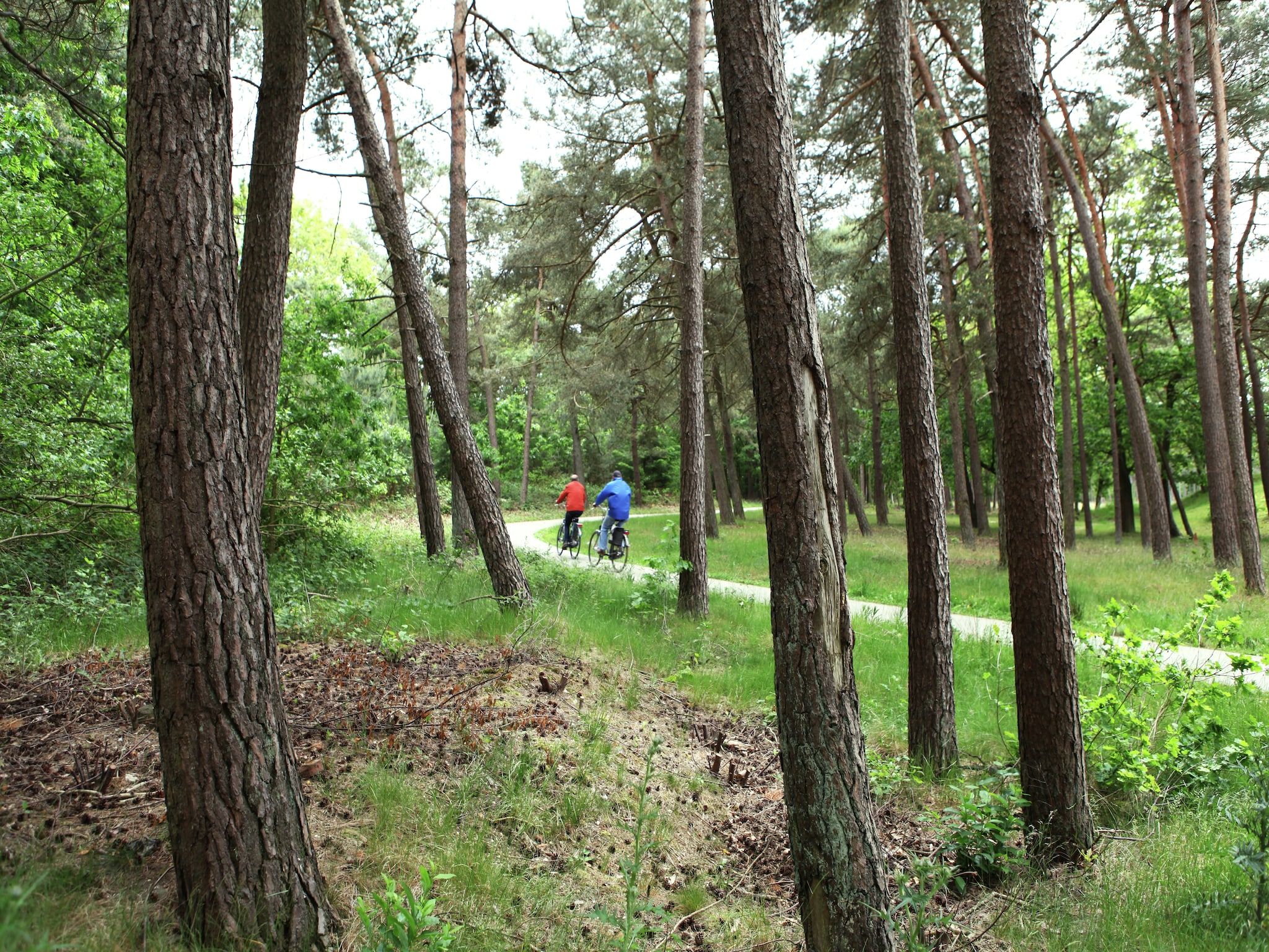 De grove Den in Doornspijk - Foto 33 van 40