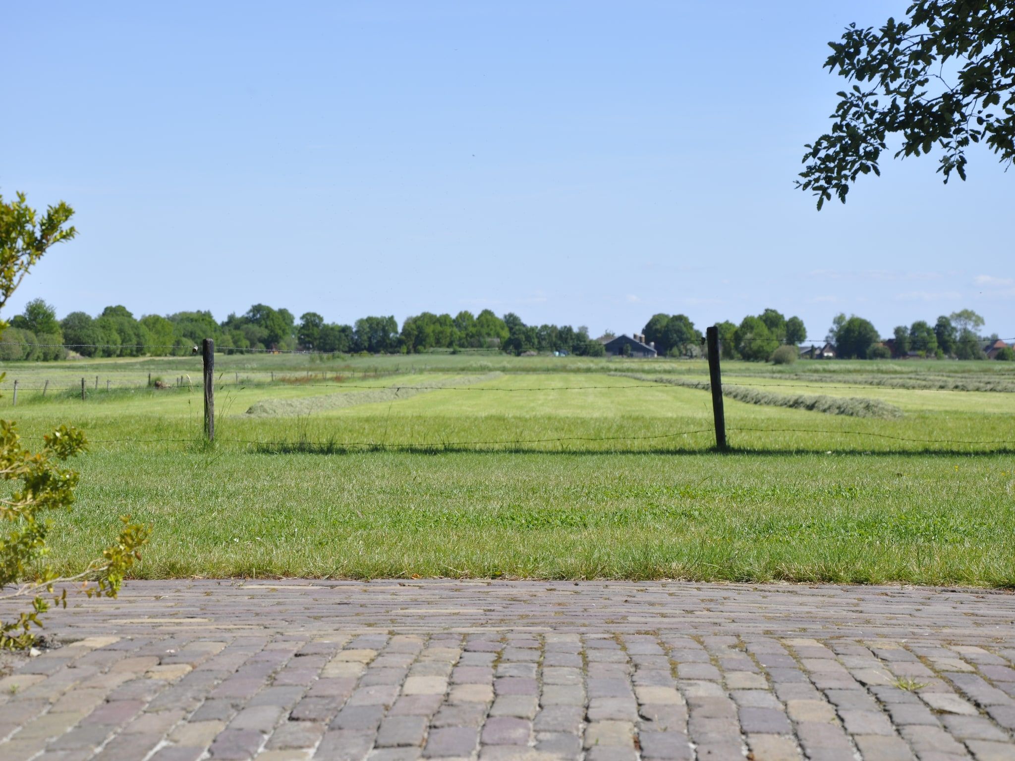 Het uitzicht vanaf Landhuis de Linde in Nijensleek