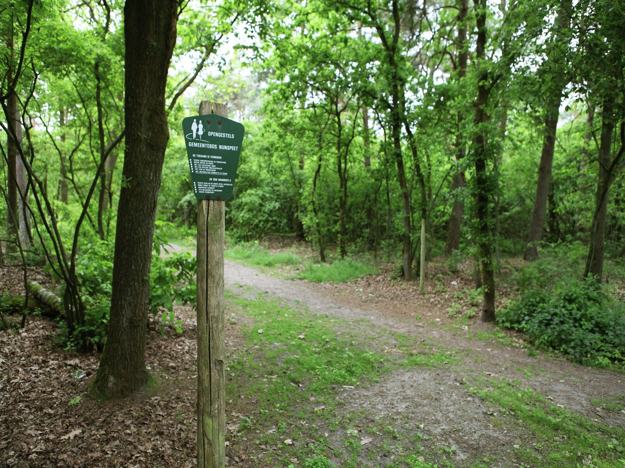 De grove den in Doornspijk - Foto 12 van 34