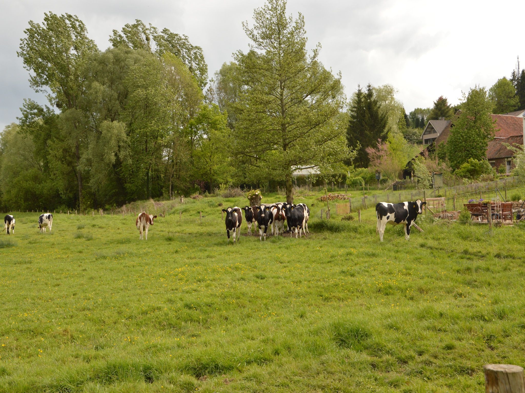 Hoeve A Gen Water - Hummesknupke in Slenaken - Foto 28 van 40