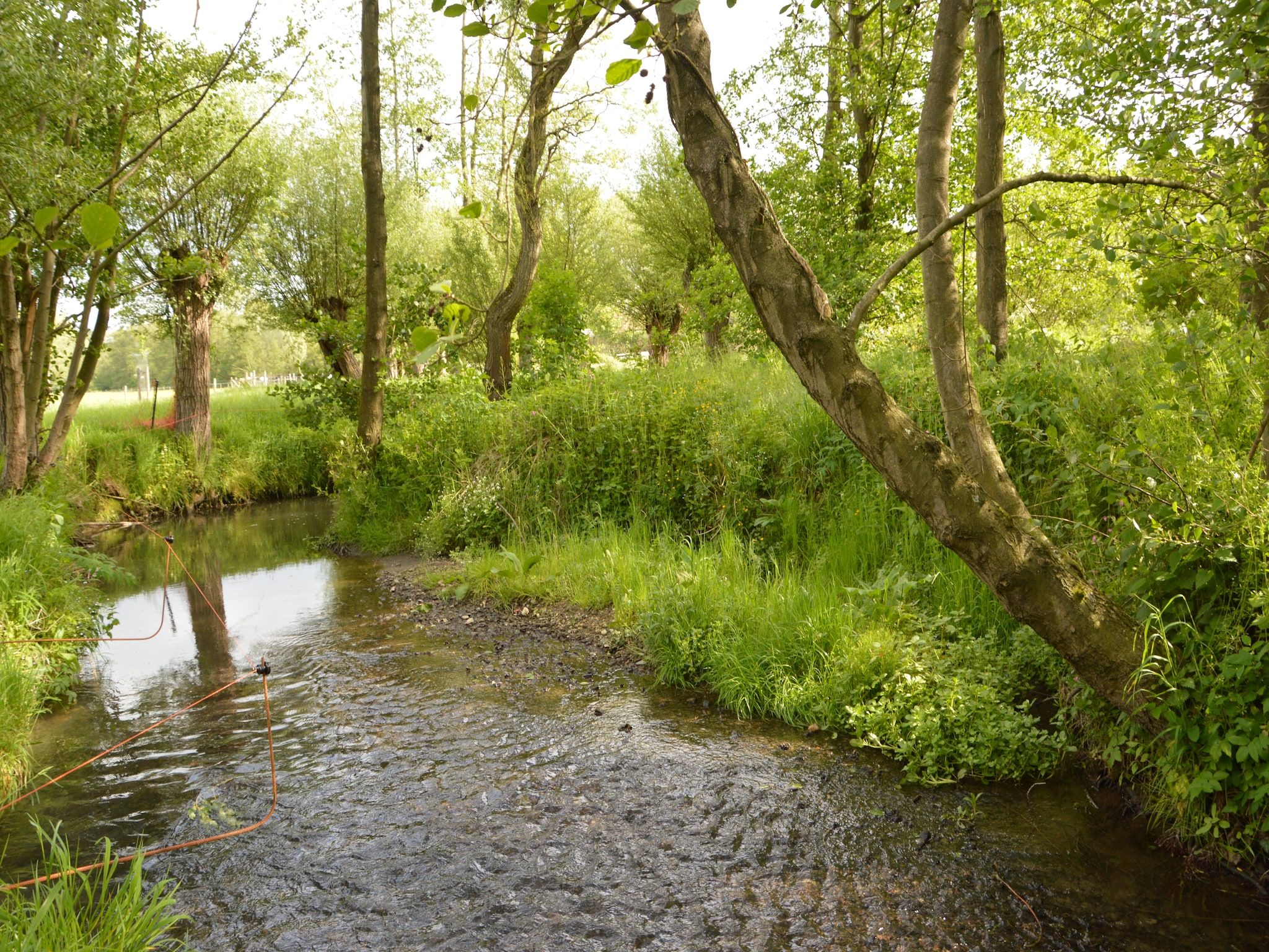 Hoeve A Gen Water - Hummesknupke in Slenaken - Foto 29 van 40