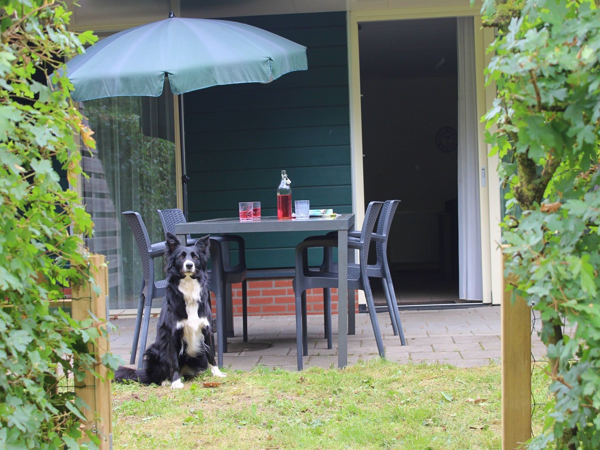 De tuin van Vakantiepark Horsetellerie 1 in Hardenberg (rheezerveen)