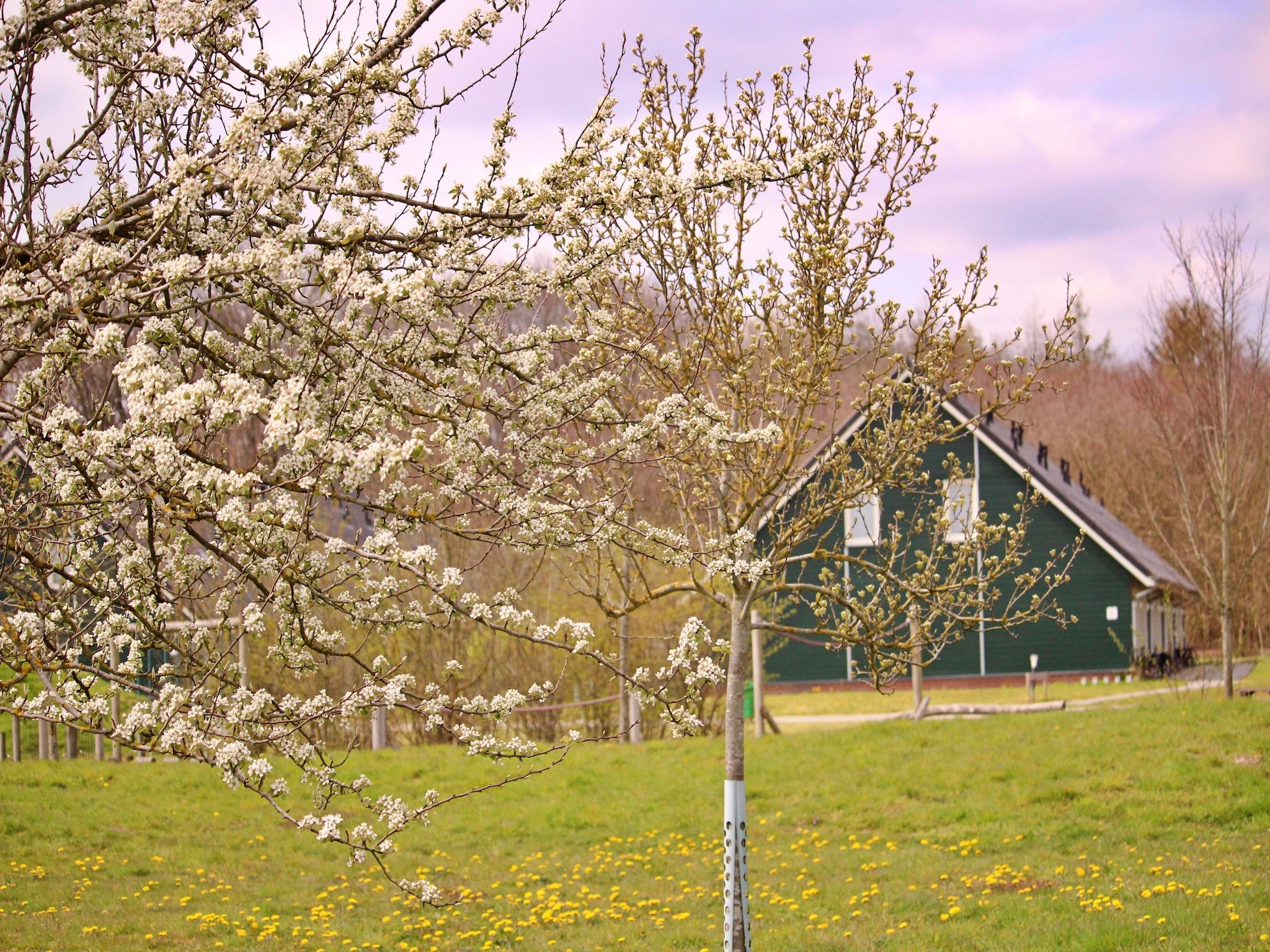 De buitenkant van Vakantiepark Horsetellerie 4 in Hardenberg (rheezerveen)