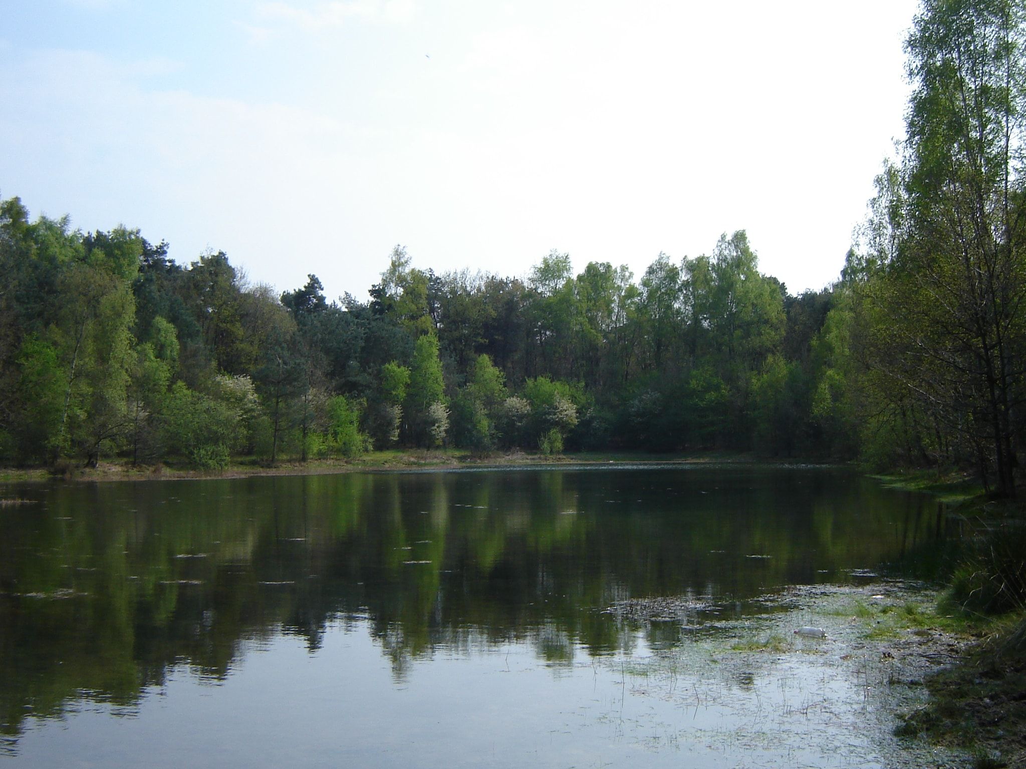 de Lansert in Vessem - Foto 44 van 52
