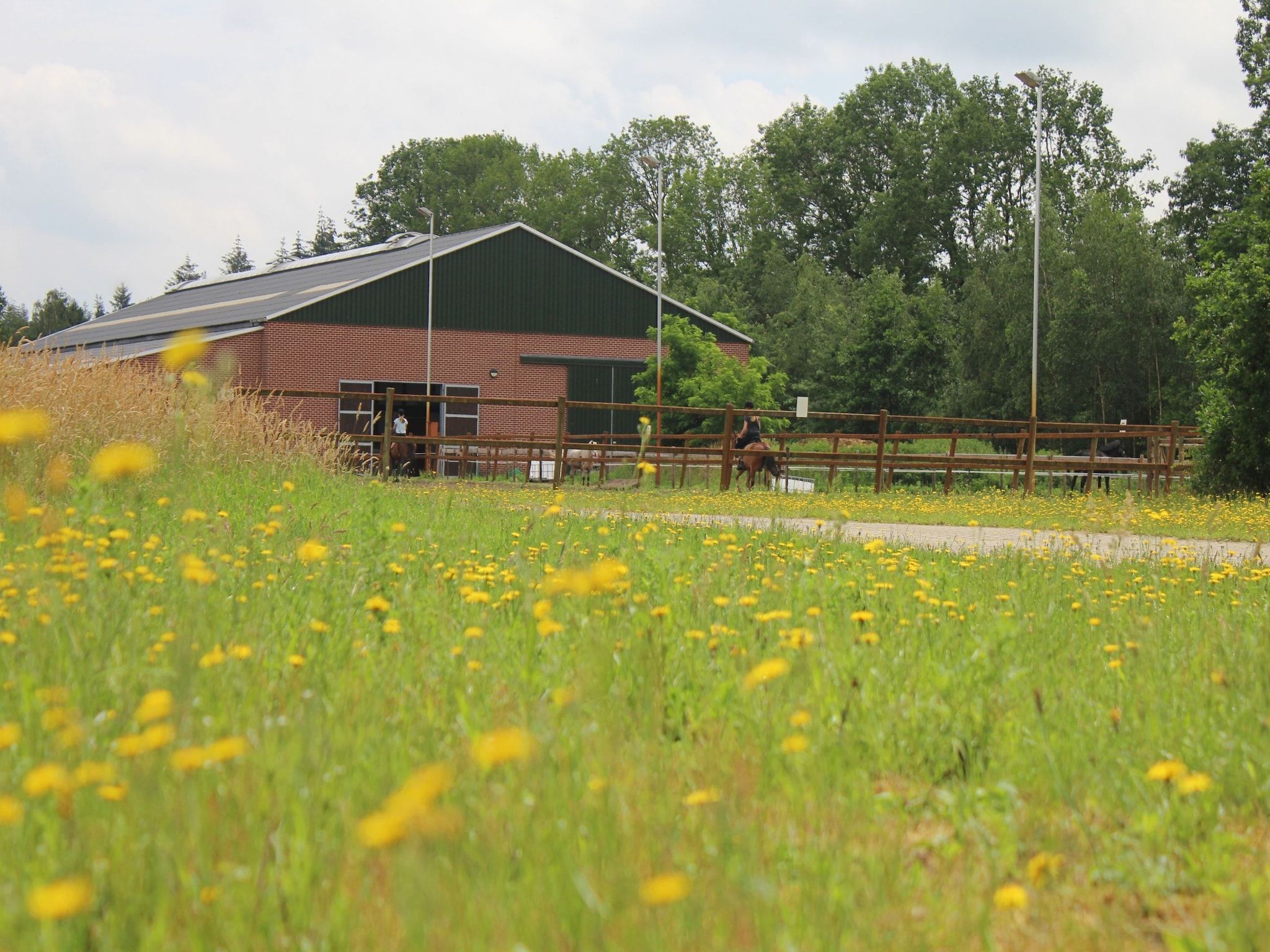 Vakantiepark Horsetellerie 7 in Hardenberg (rheezerveen) - Foto 22 van 41