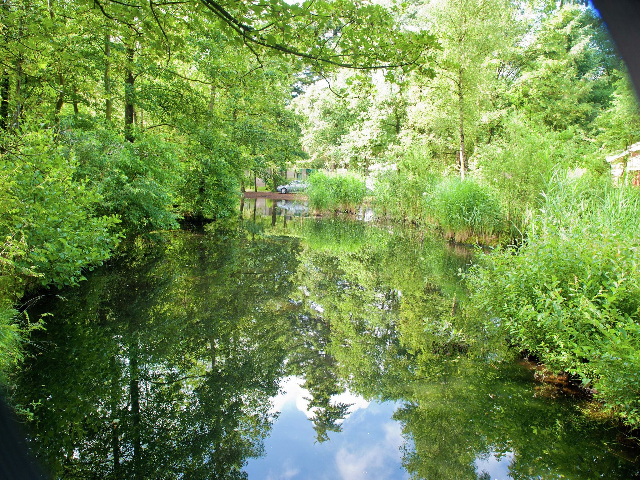 De omgeving van Vakantiepark de Berkenhorst 8 in Kootwijk