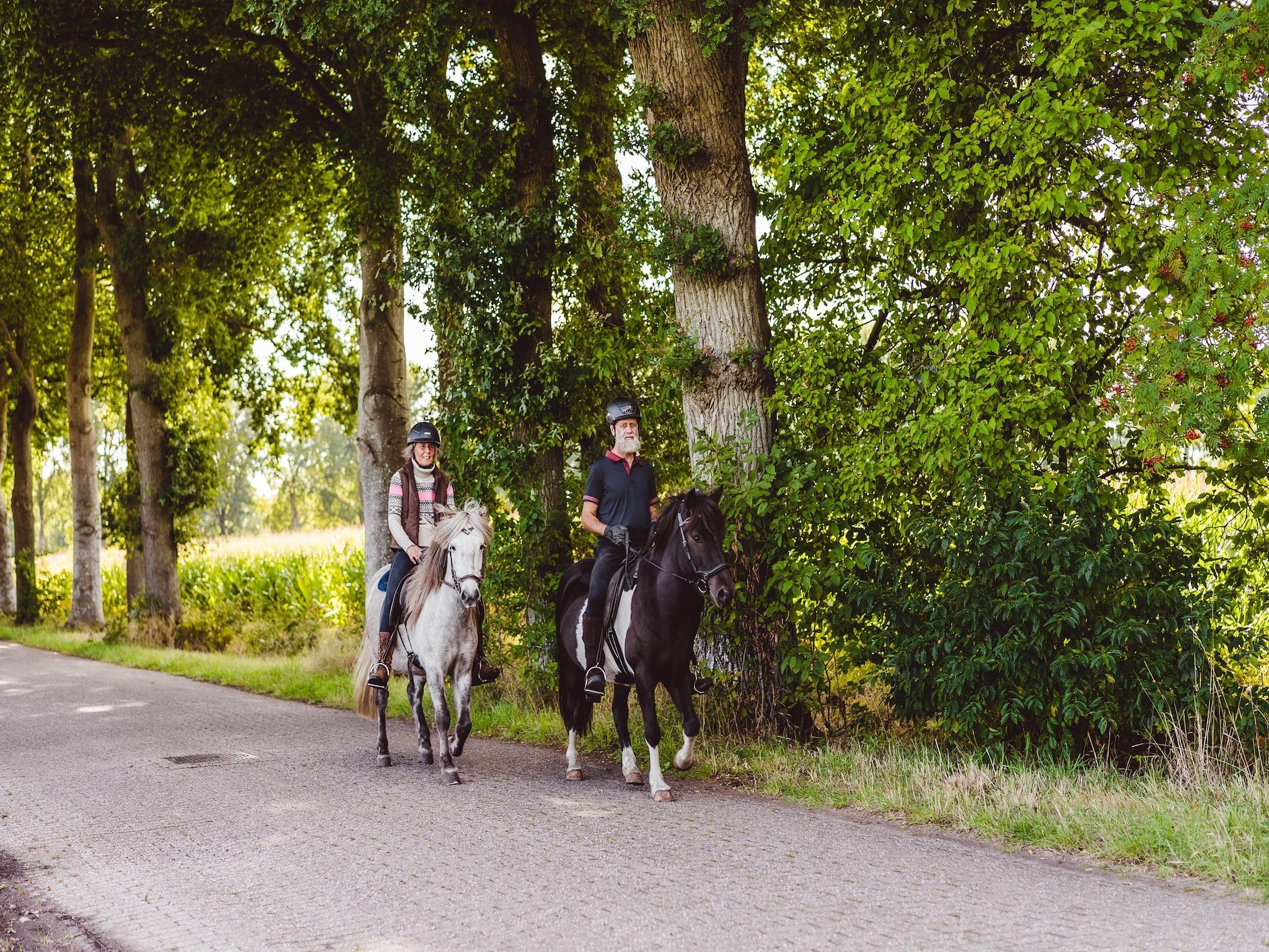 Sfeerbeeld van Hunzepark 7 in Gasselternijveen