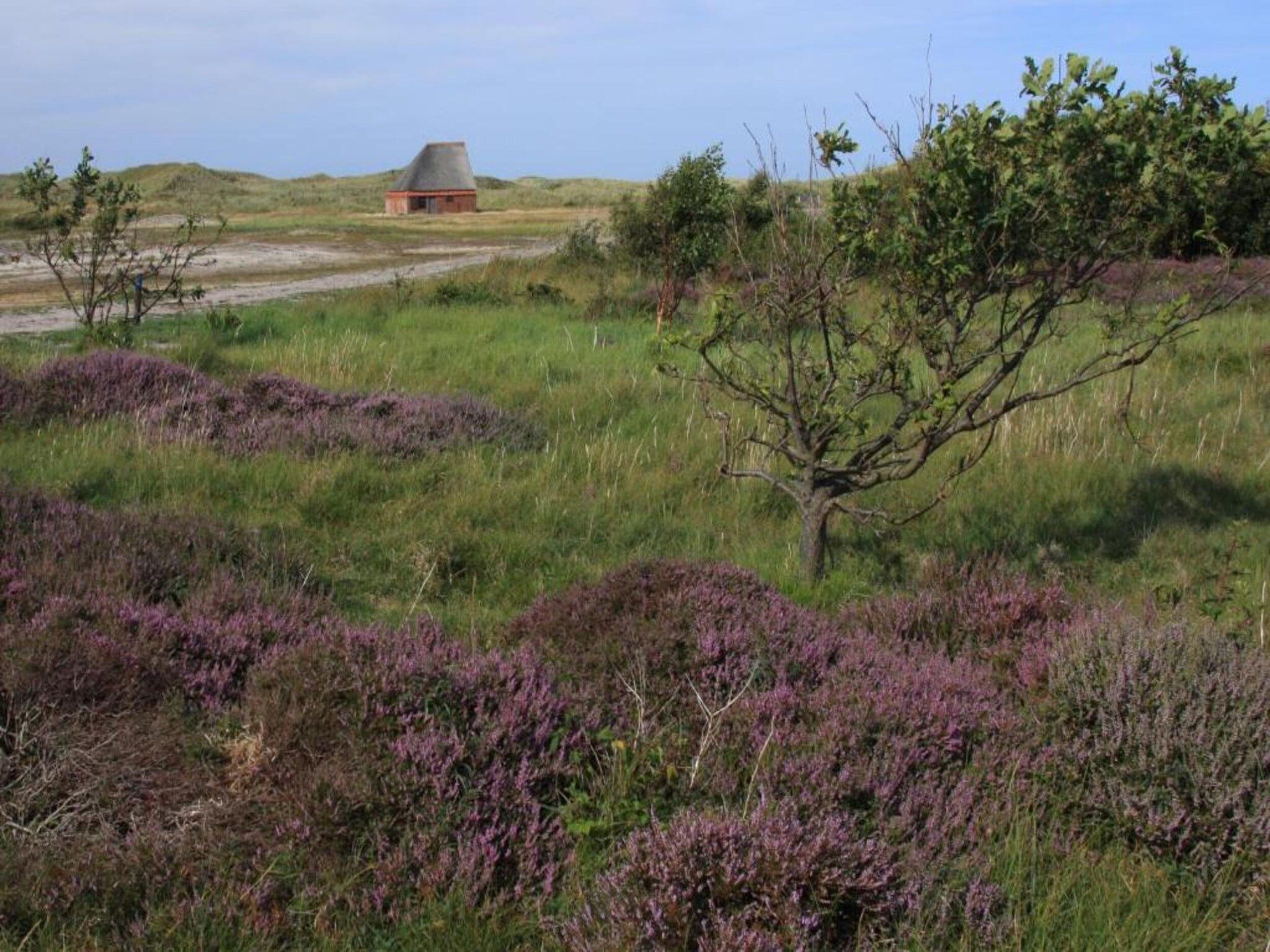Bosch en Zee 4 in De Koog Texel - Foto 34 van 38