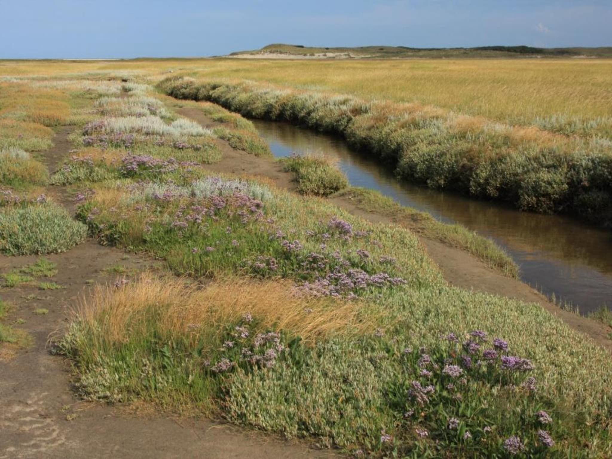 Bosch en Zee 4 in De Koog Texel - Foto 35 van 38