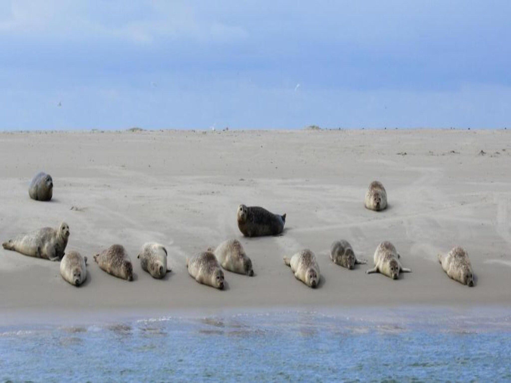 Bosch en Zee 4 in De Koog Texel - Foto 36 van 38