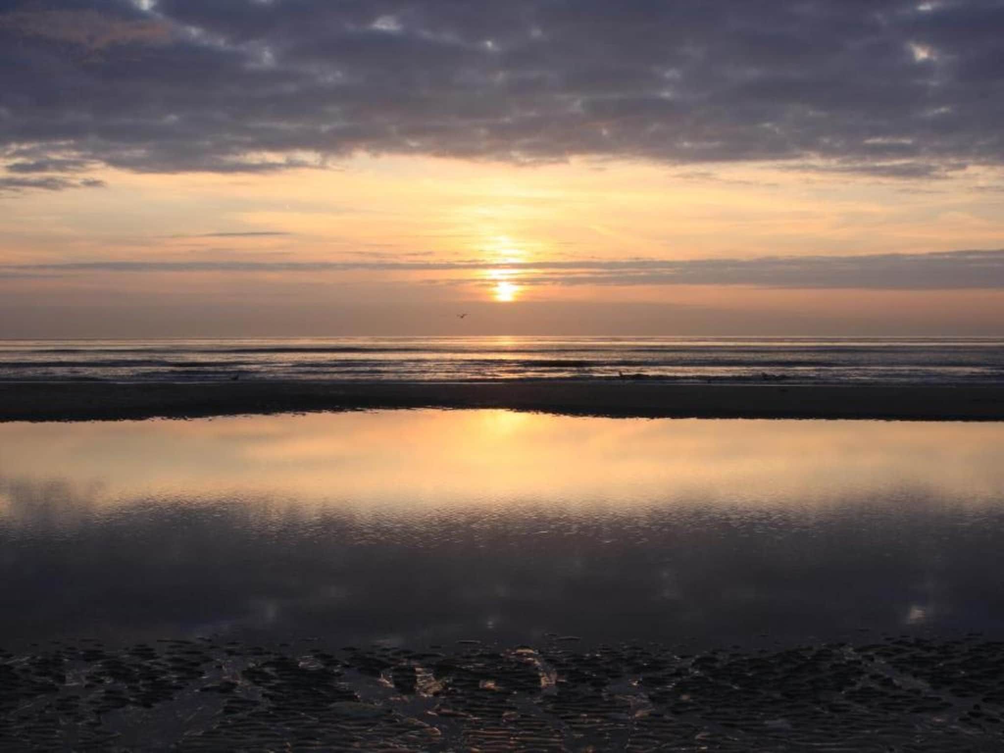 Bosch en Zee 4 in De Koog Texel - Foto 28 van 38