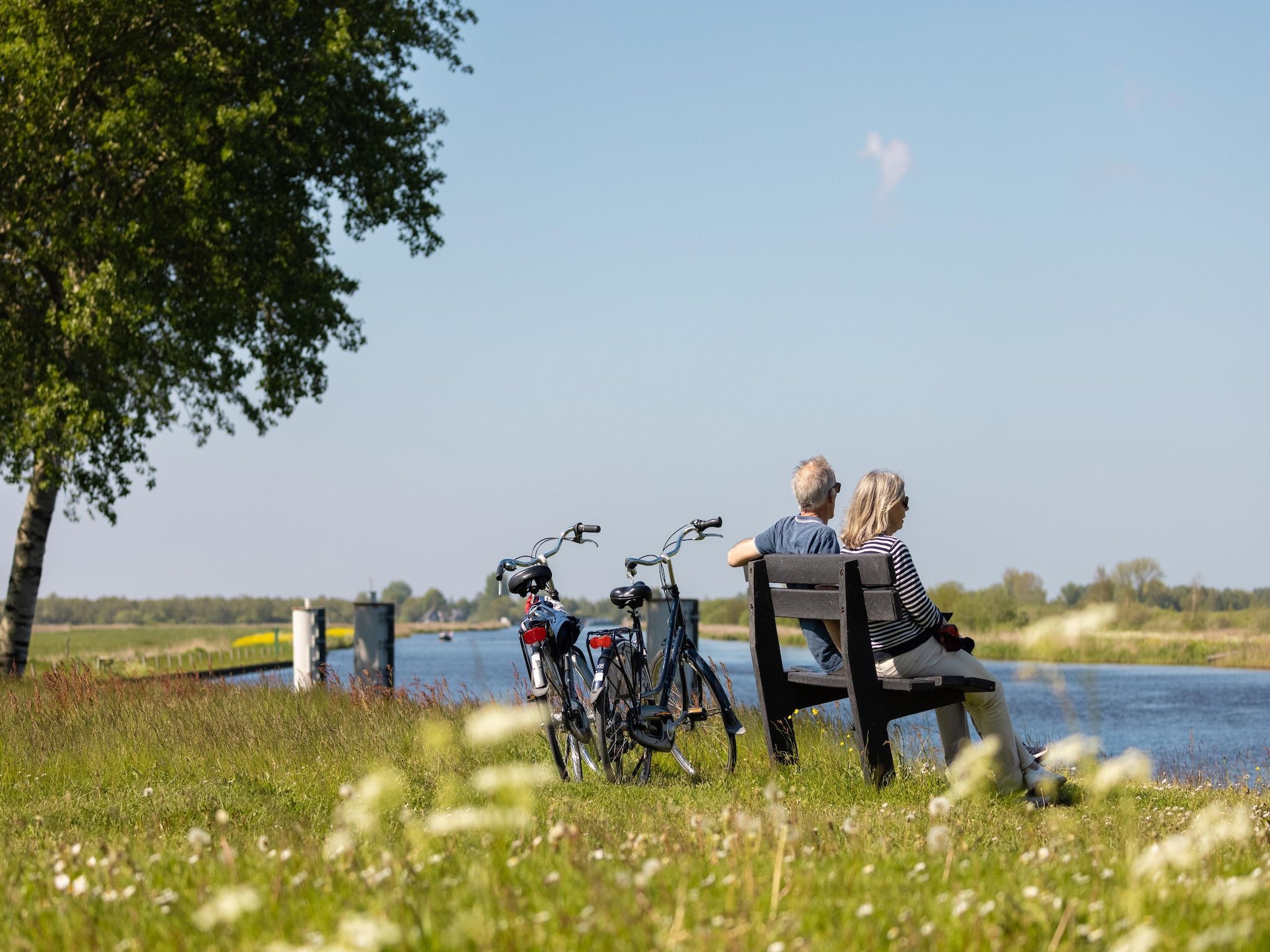 De omgeving van Buitenplaats It Wiid in Eernewoud