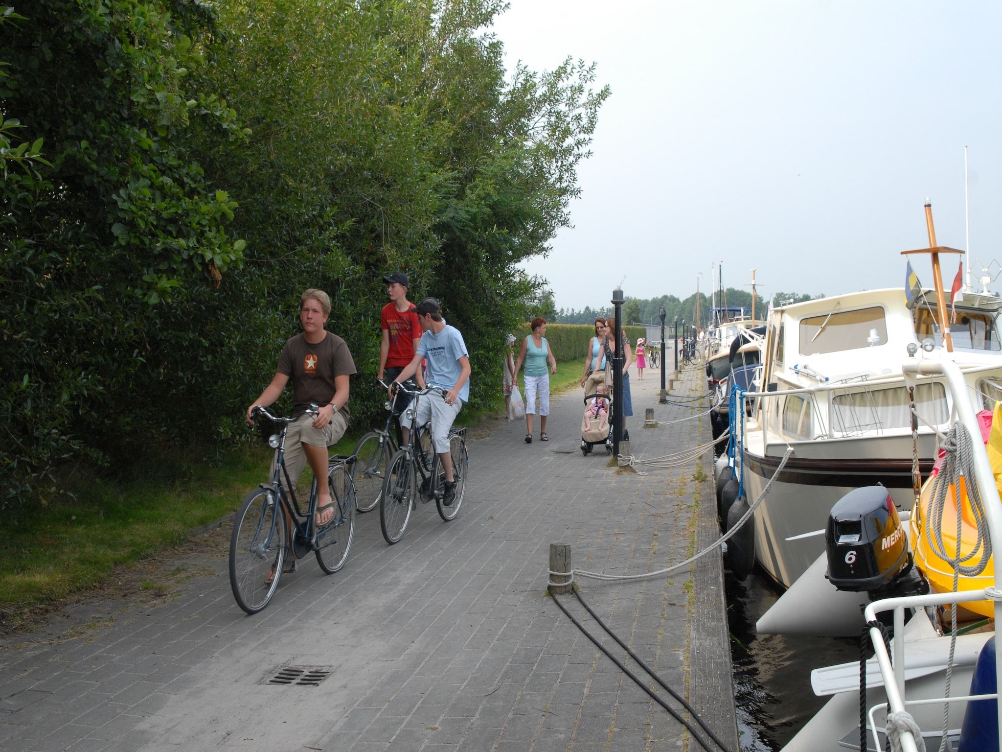 De omgeving van Buitenplaats It Wiid 4 in Eernewoud