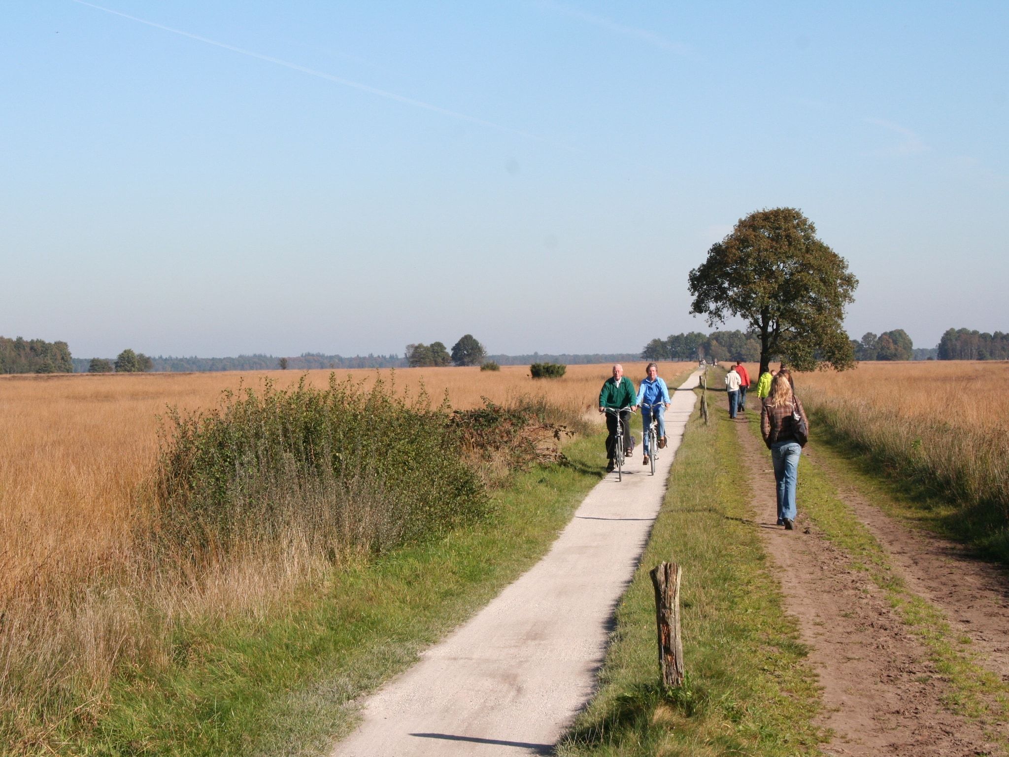 De omgeving van Marke van Ruinen 1 in Ruinen
