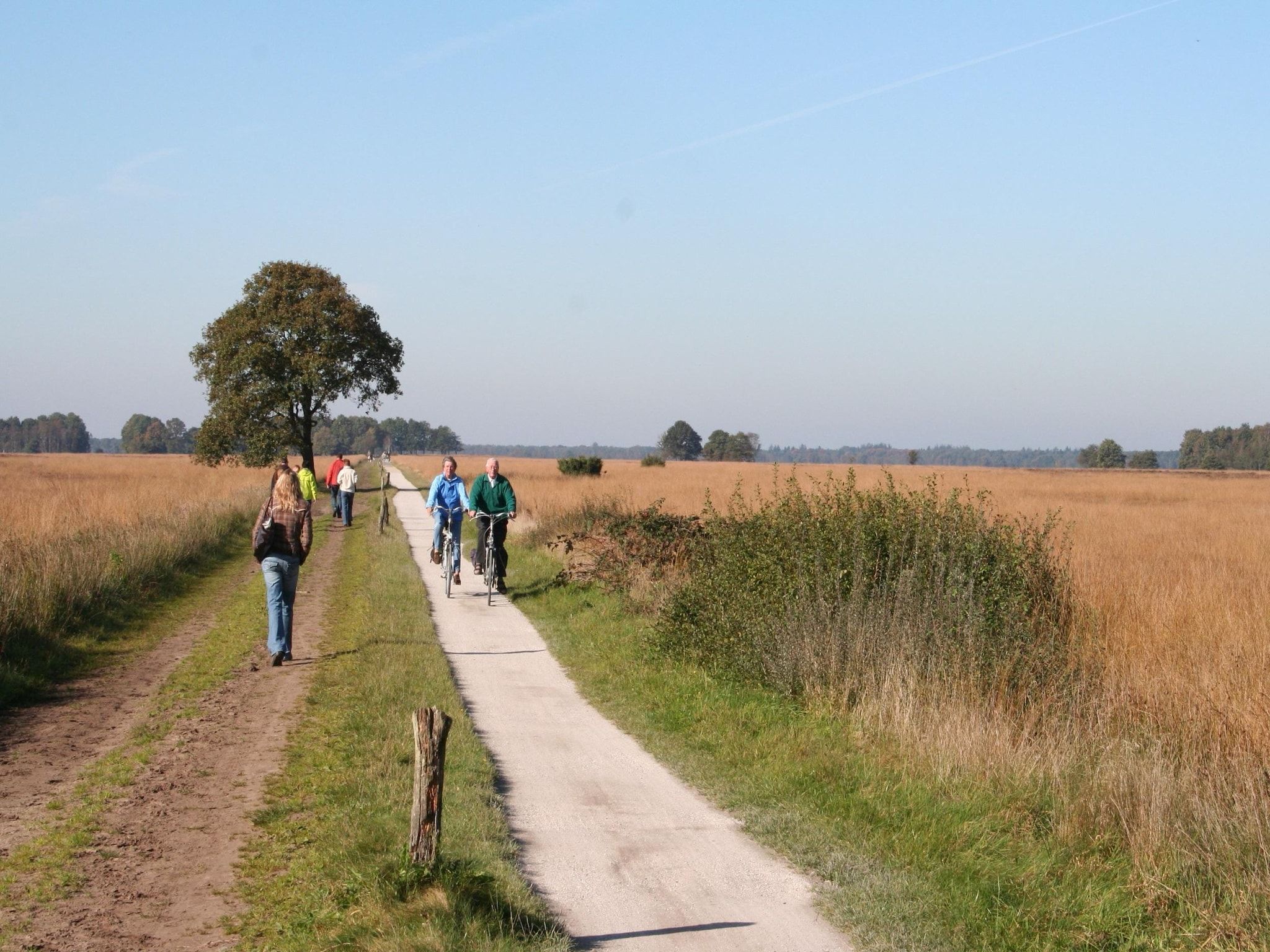 Marke van Ruinen 1 in Ruinen - Foto 15 van 22
