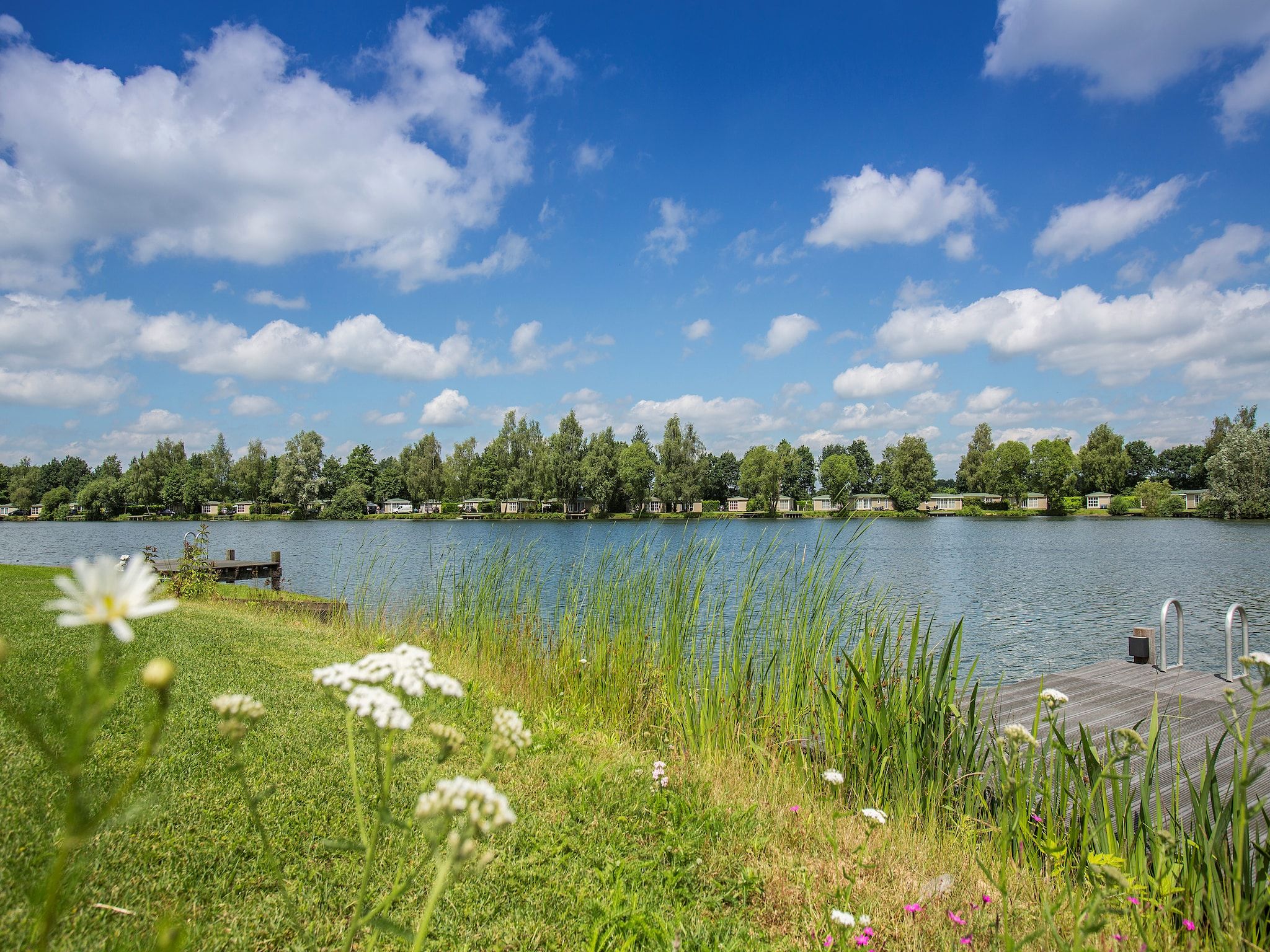 Het uitzicht vanaf Recreatiepark Tolplas 11 in Hoge Hexel