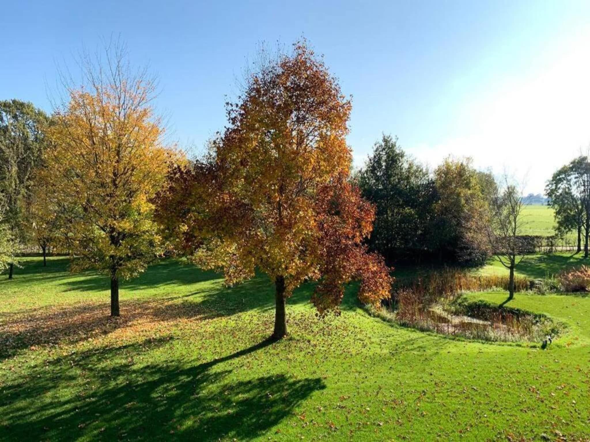 De omgeving van Recreatiepark Tolplas 11 in Hoge Hexel