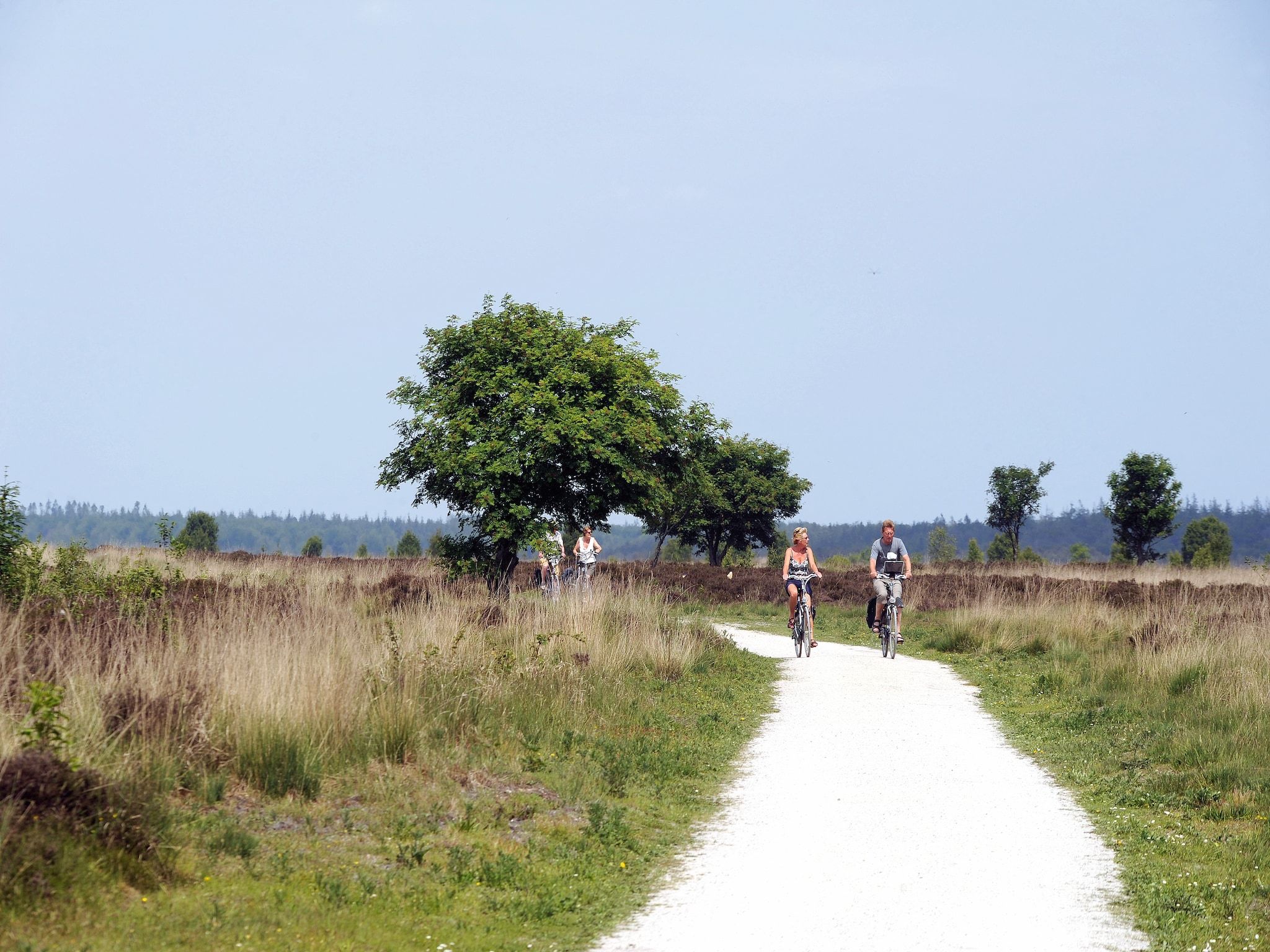 De omgeving van Het Drentse Wold 1 in Hoogersmilde