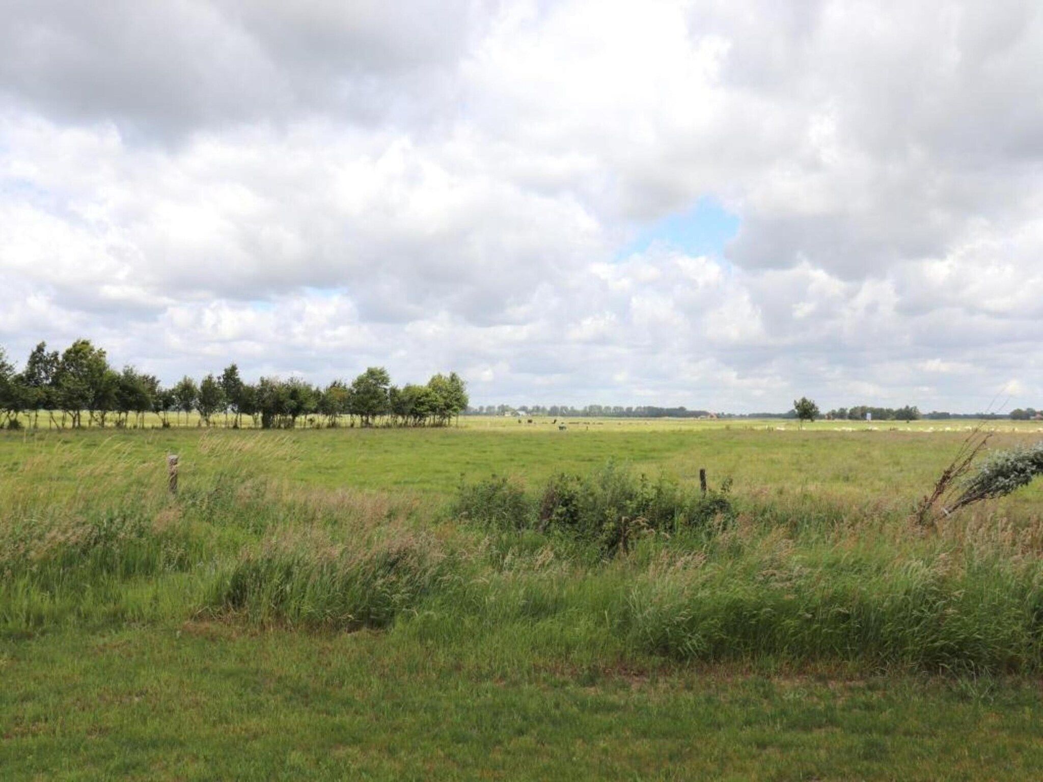 De omgeving van Villapark De Weerribben 2 in Paasloo