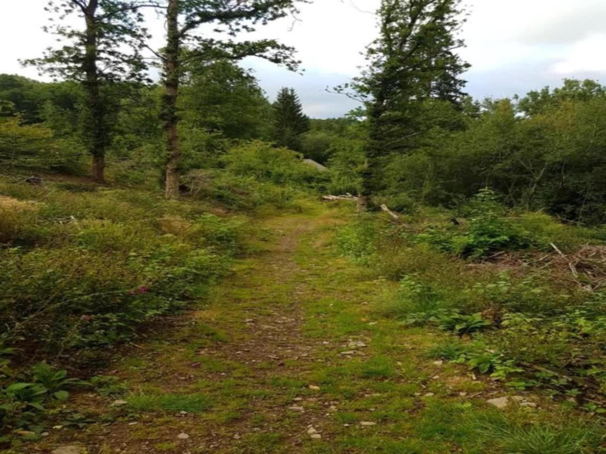 De omgeving van Villapark De Weerribben 1 in Paasloo