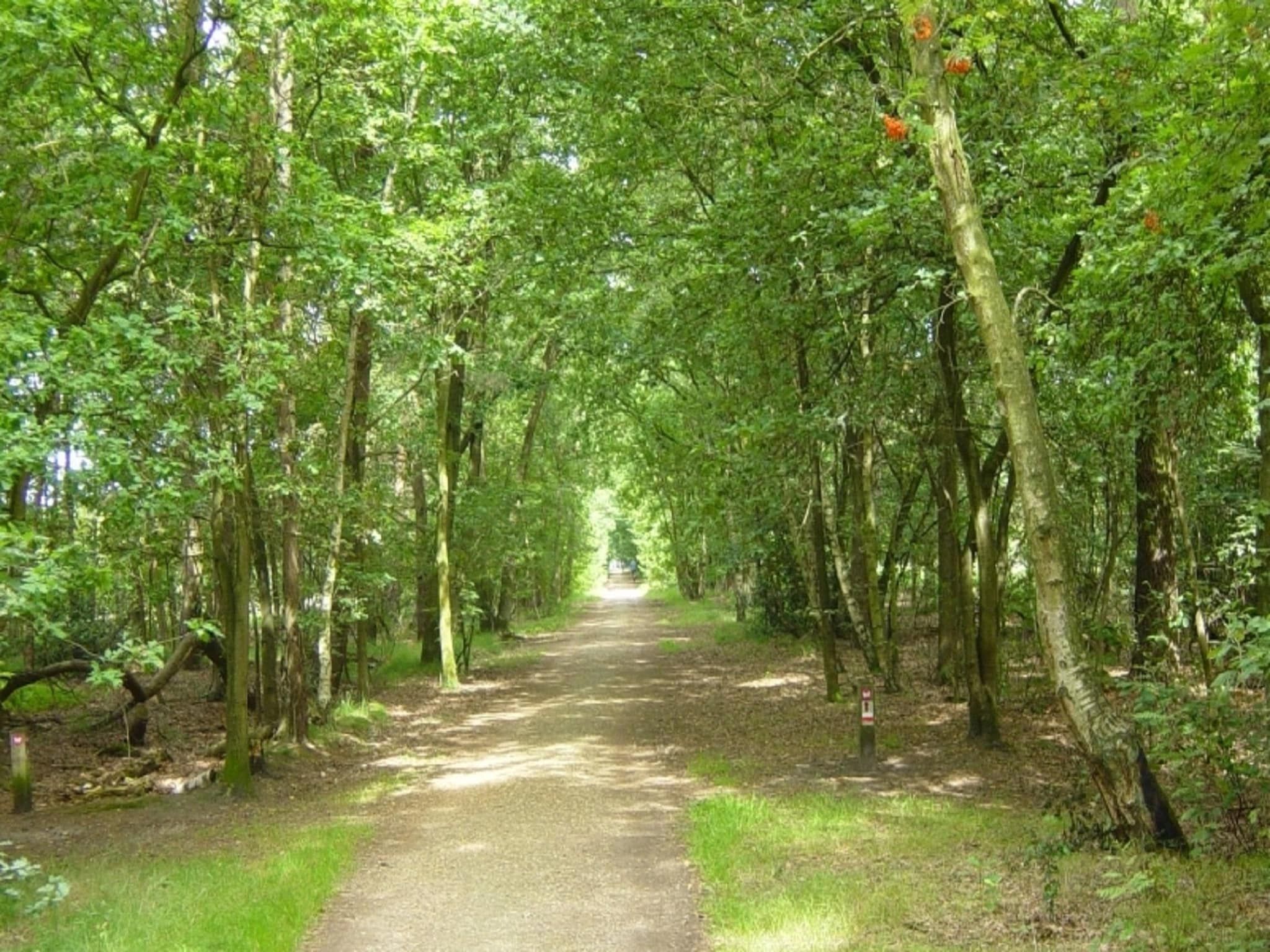 De omgeving van Recreatiepark de Stelhoeve 2 in Wemeldinge