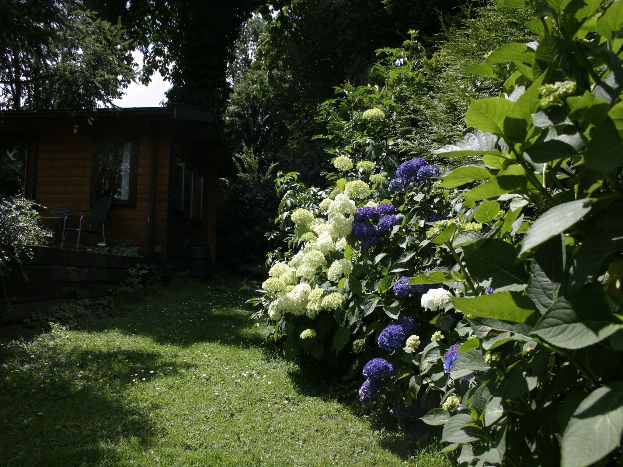 De tuin van Chaletpark Kuiperberg 7 in Ootmarsum