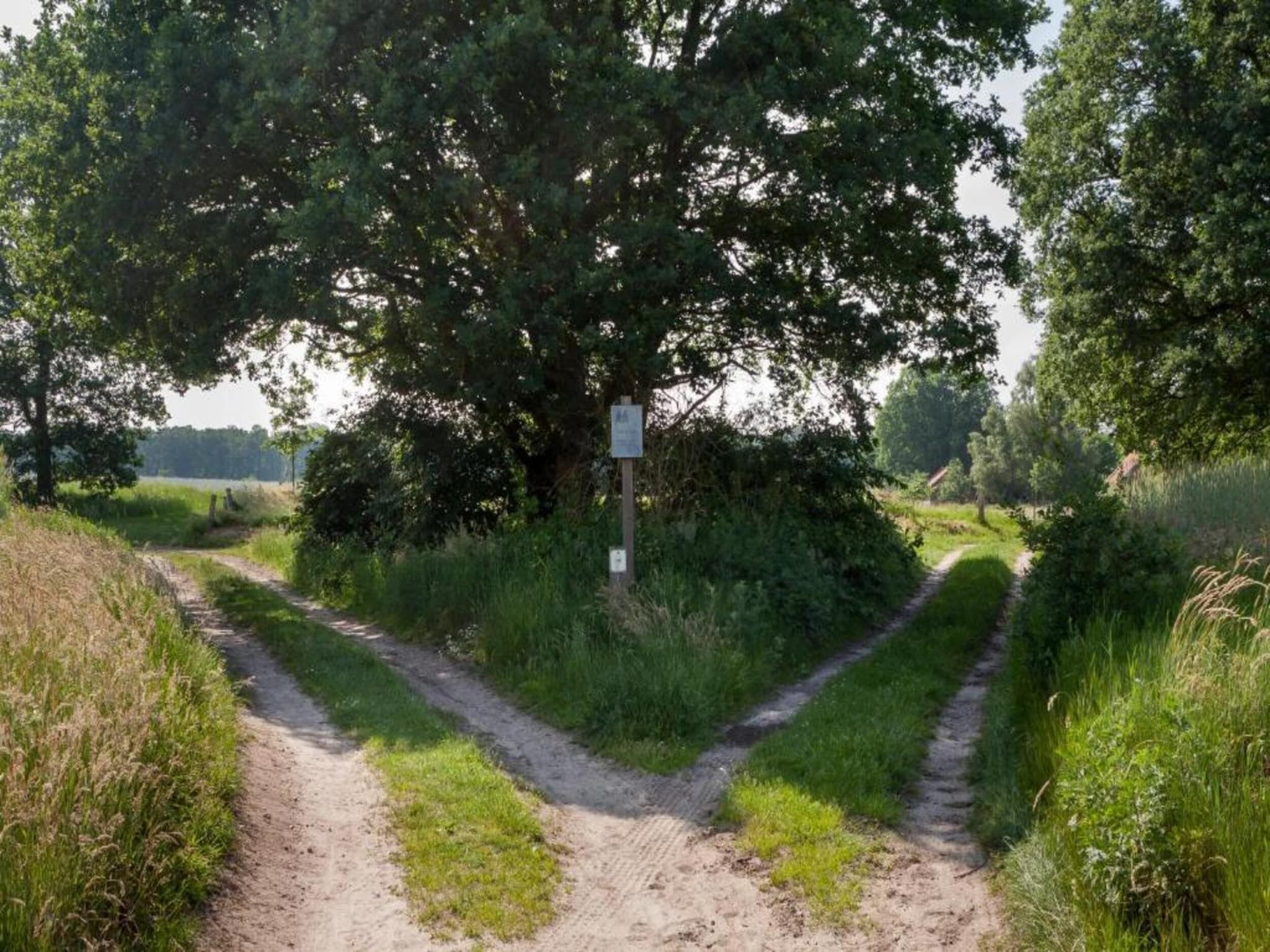 De omgeving van Chaletpark Kuiperberg 7 in Ootmarsum