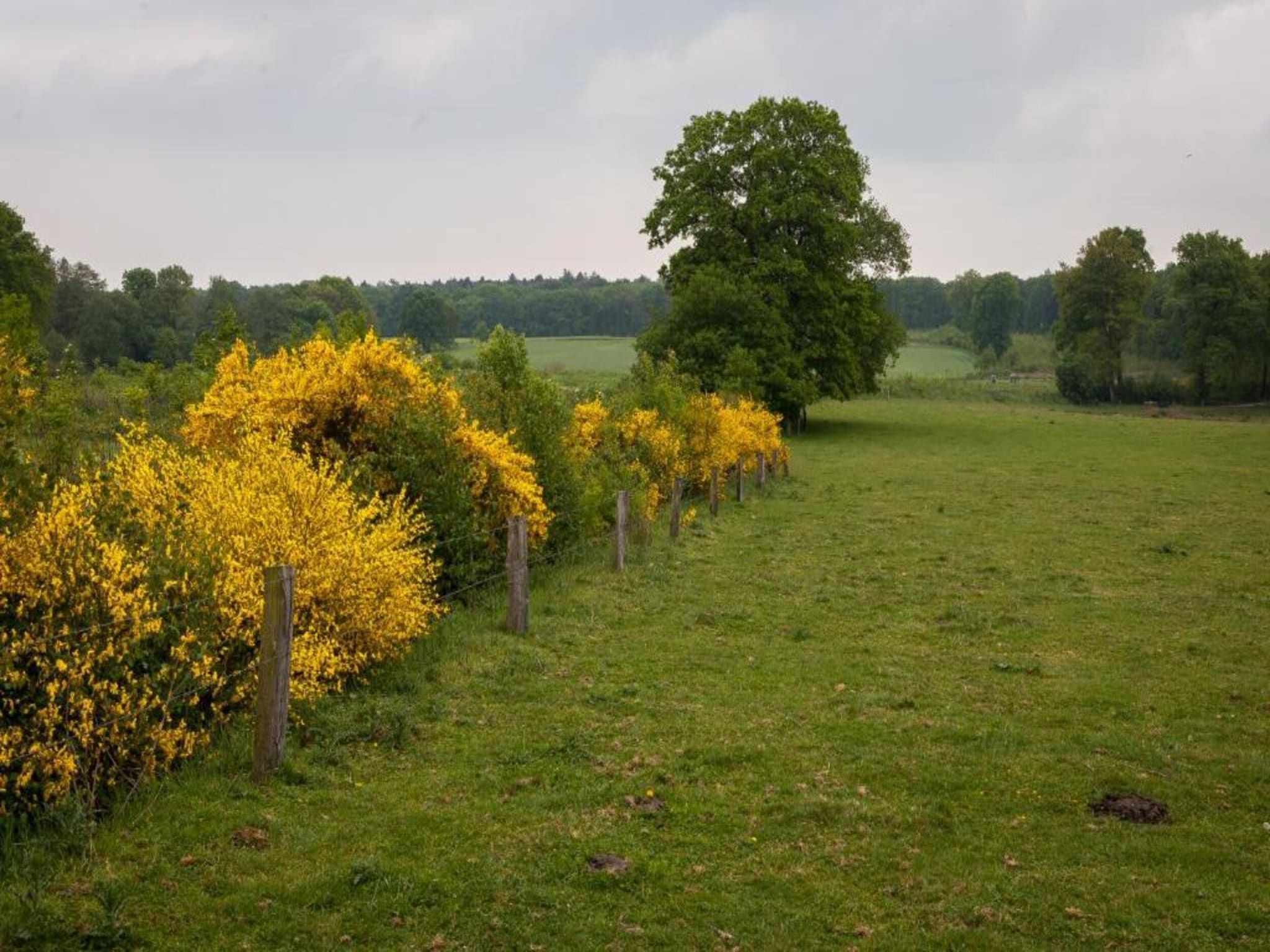 De omgeving van Chaletpark Kuiperberg 7 in Ootmarsum