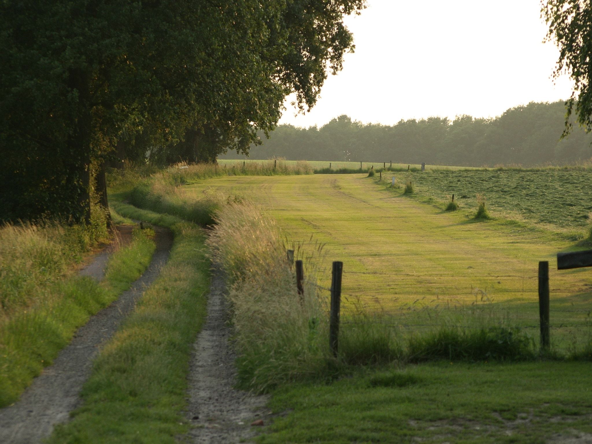 De omgeving van Chaletpark Kuiperberg 1 in Ootmarsum