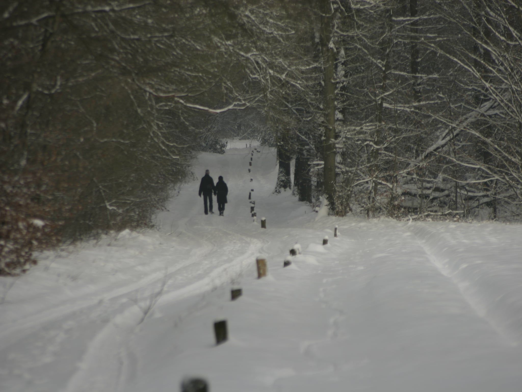 Chaletpark Kuiperberg 1 in Ootmarsum - Foto 37 van 37