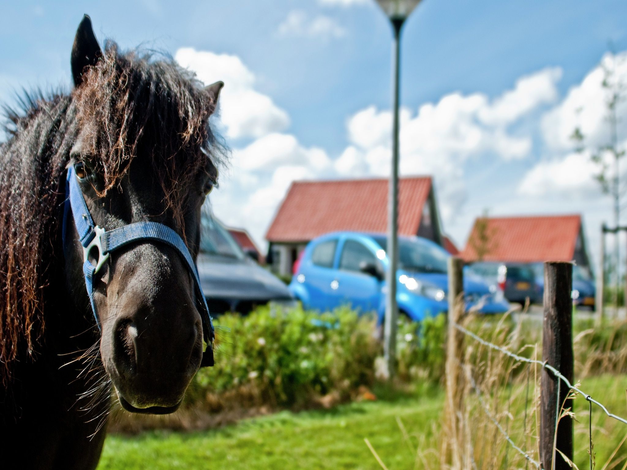 De tuin van Recreatiepark de Stelhoeve 3 in Wemeldinge