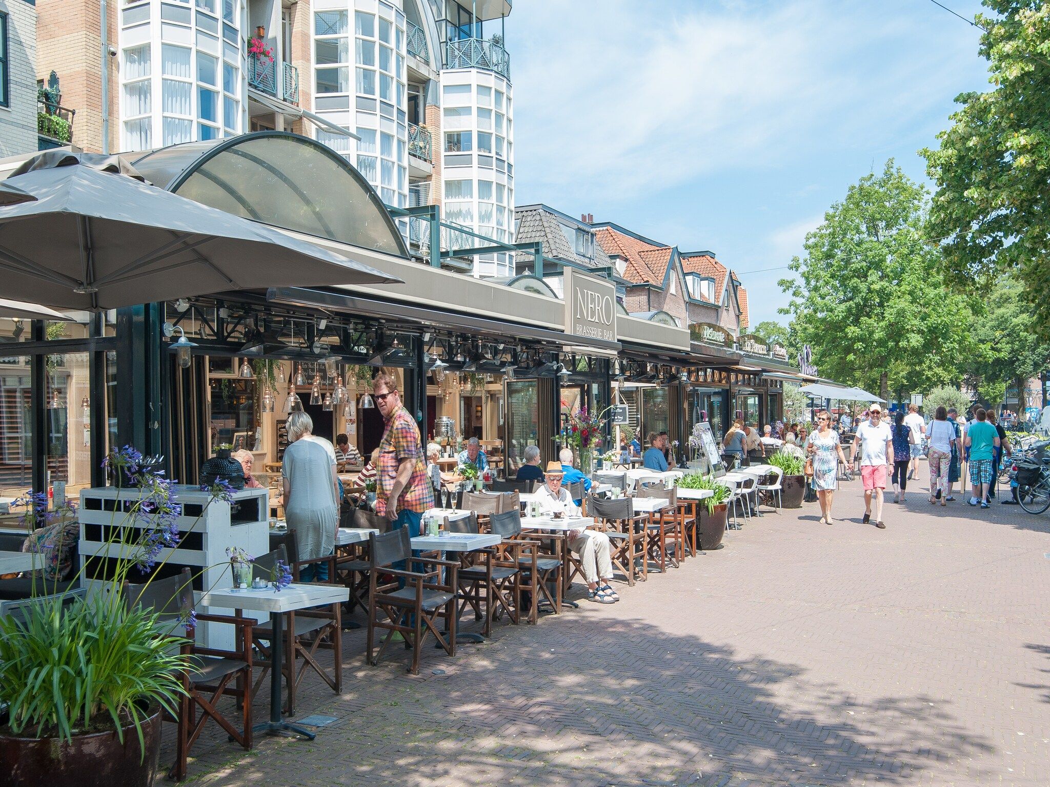 De omgeving van Het Roefje in Bergen