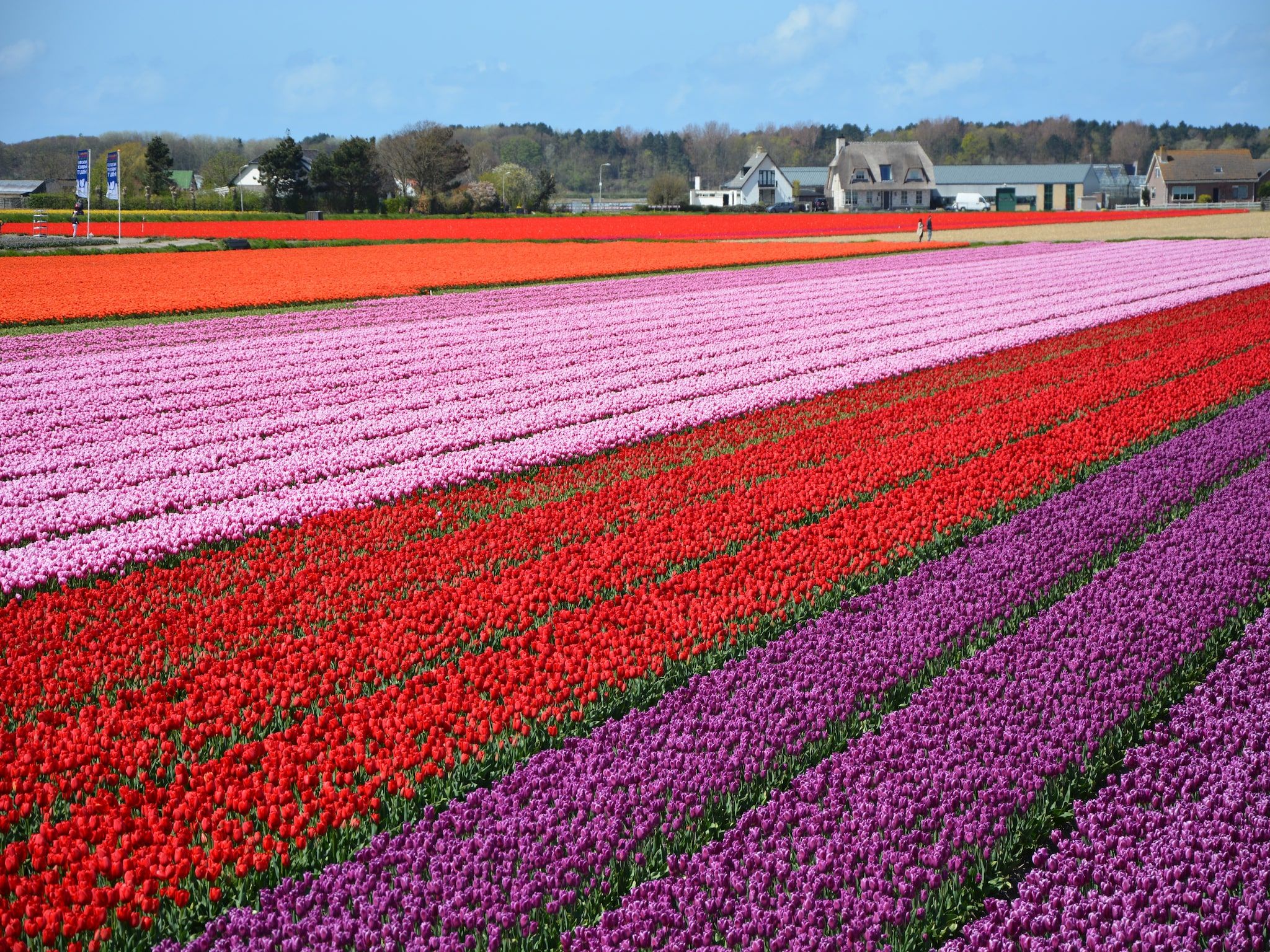 De omgeving van Beaudune in Noordwijk