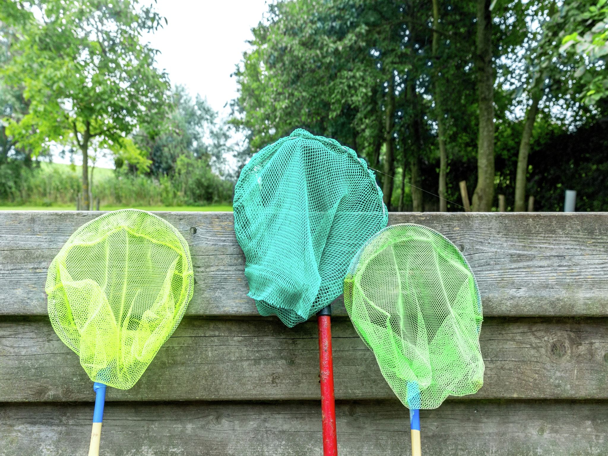 Sfeerbeeld van De Notenweide in Zonnemaire