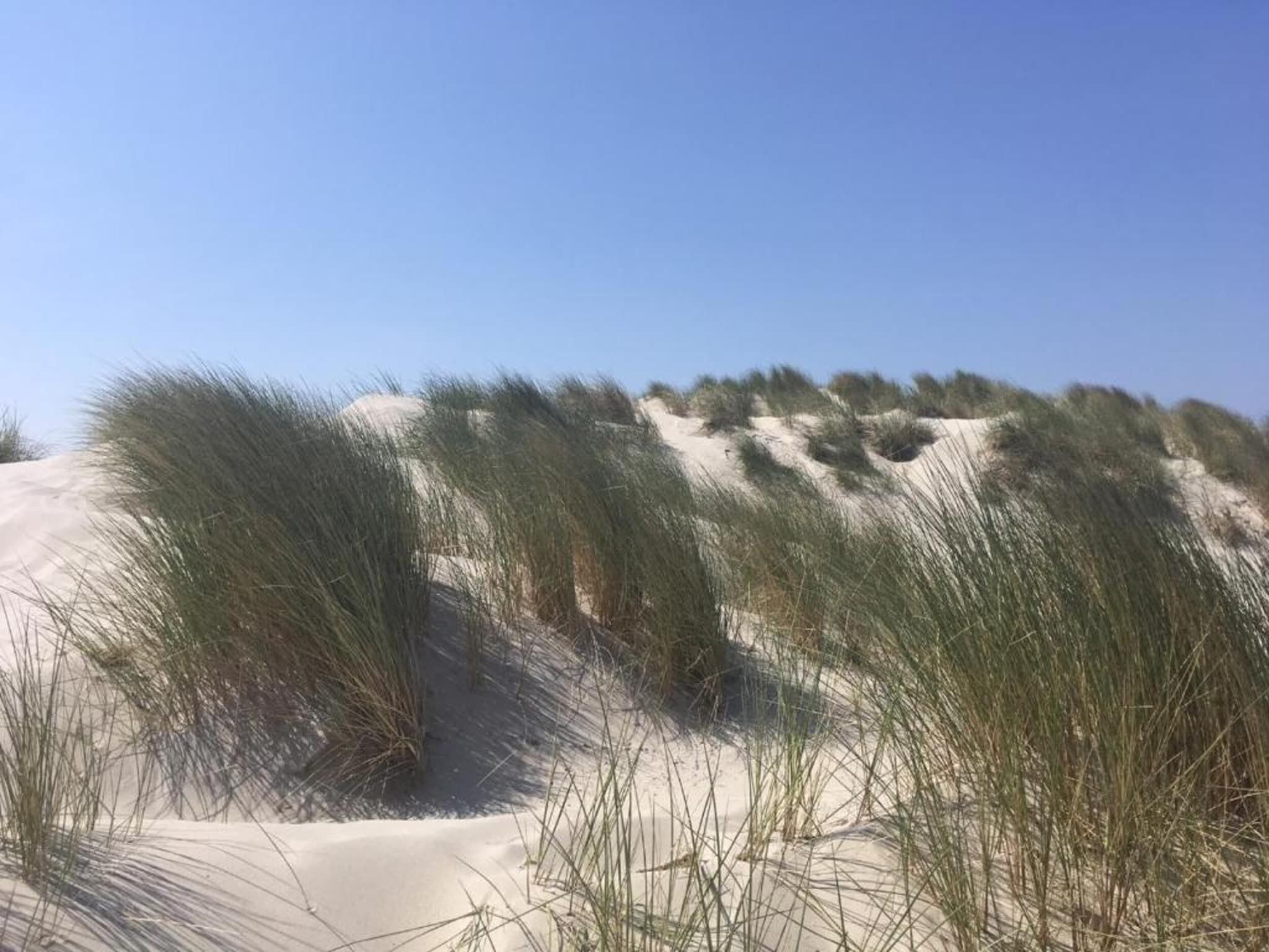 Anno 1711 in Nes-Ameland - Foto 23 van 36
