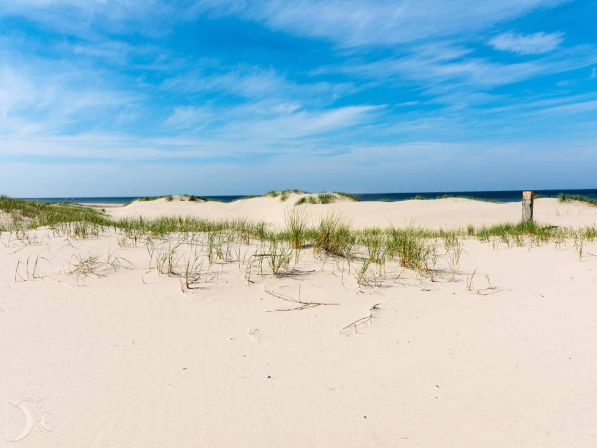 Helmgras I in Egmond aan zee - Foto 24 van 40