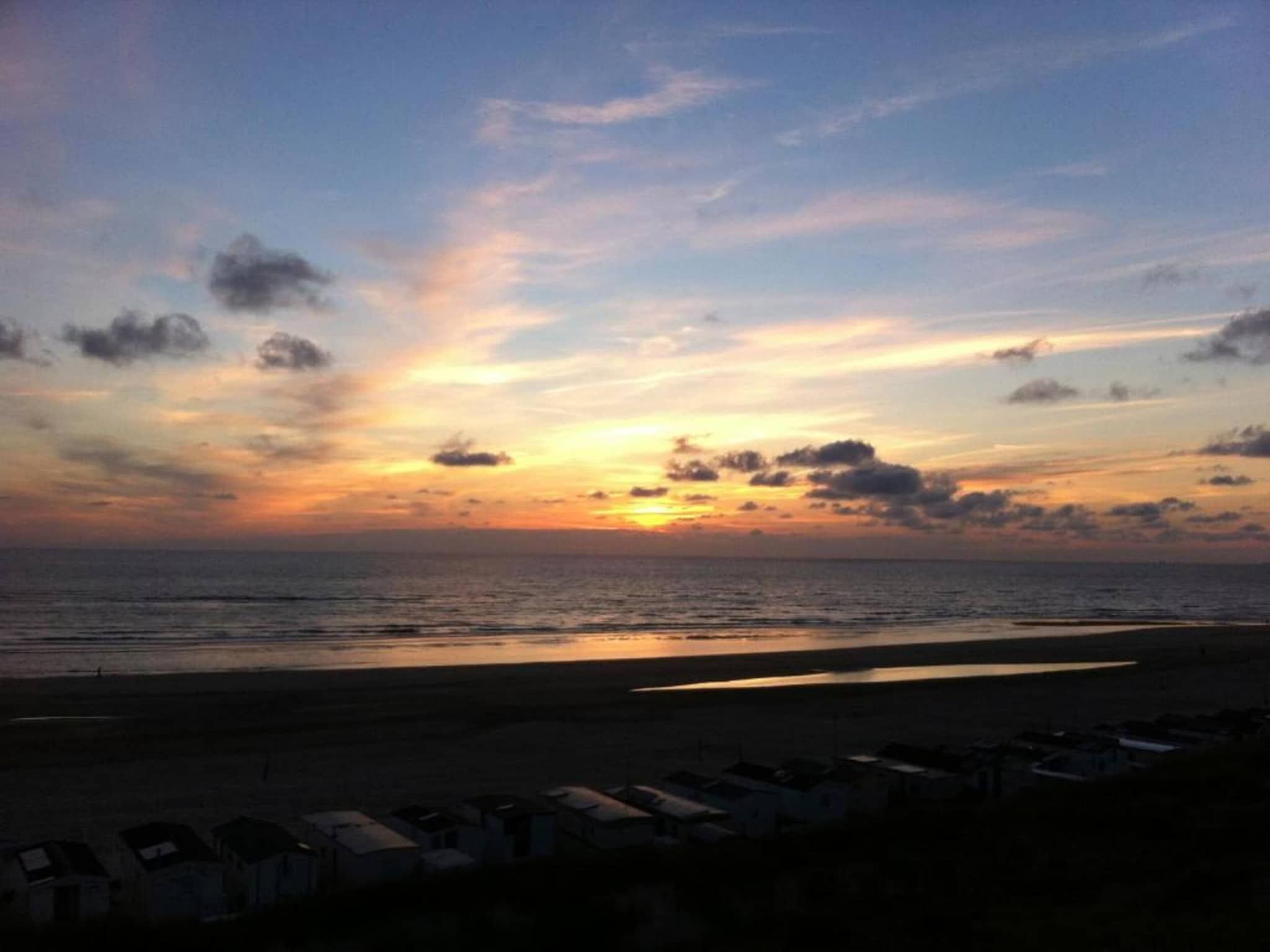 Helmgras I in Egmond aan zee - Foto 27 van 40