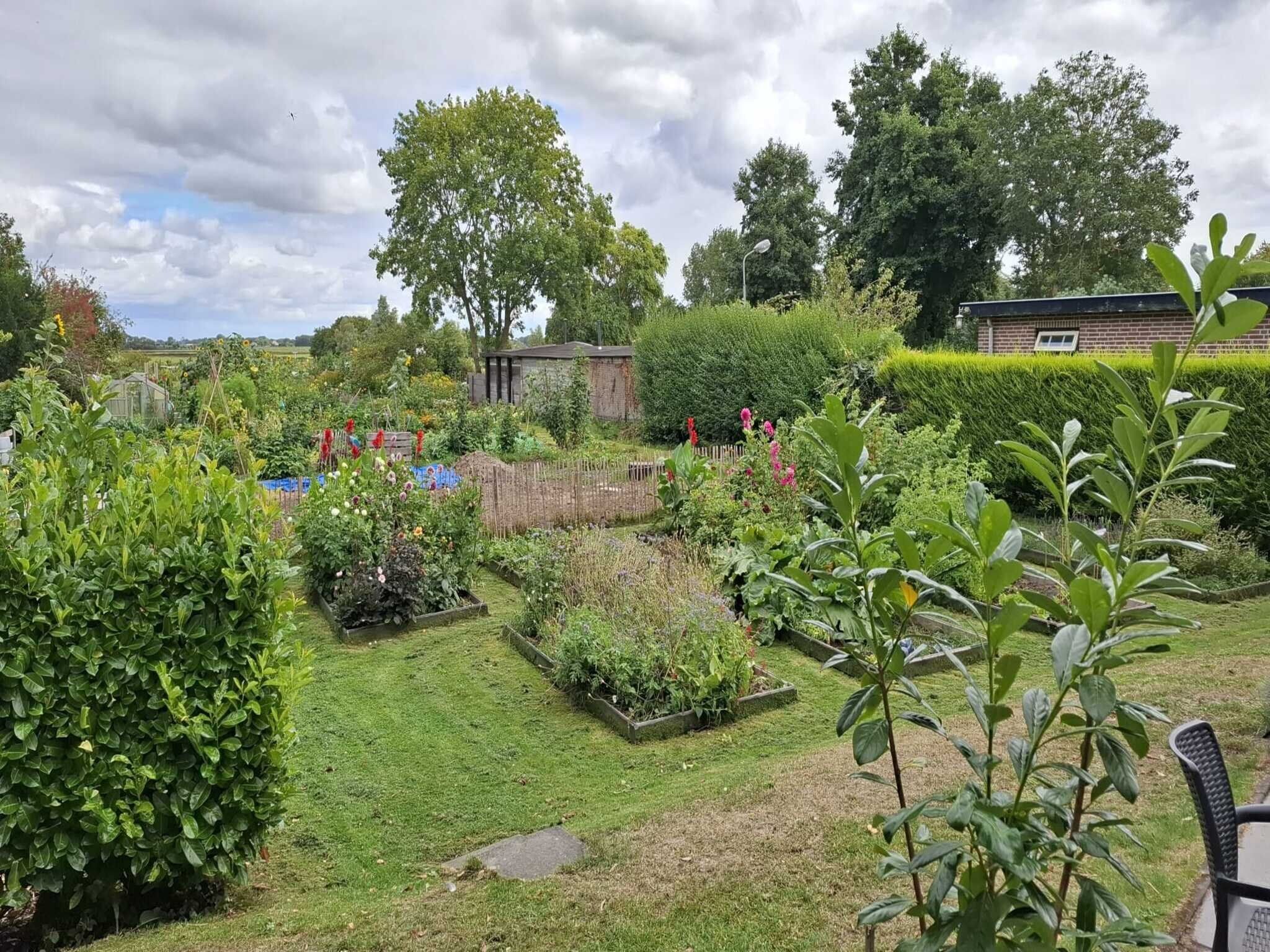 De tuin van Fancy in Groet