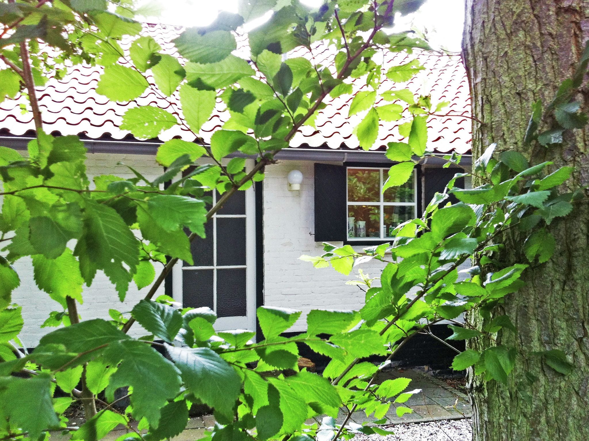 Sfeerbeeld van Zeeroos in Koudekerke-Dishoek