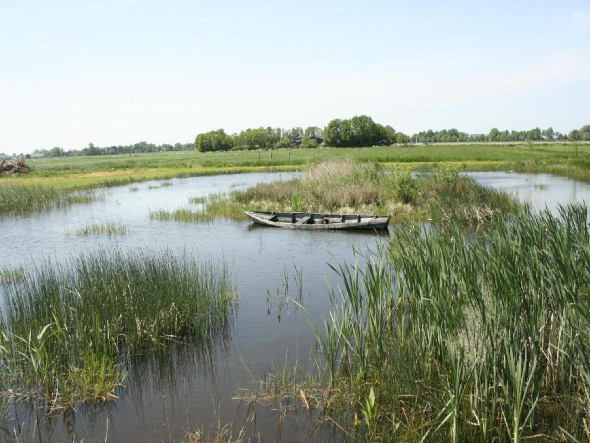 De omgeving van Vakantiepark Giethoorn 4 in Giethoorn