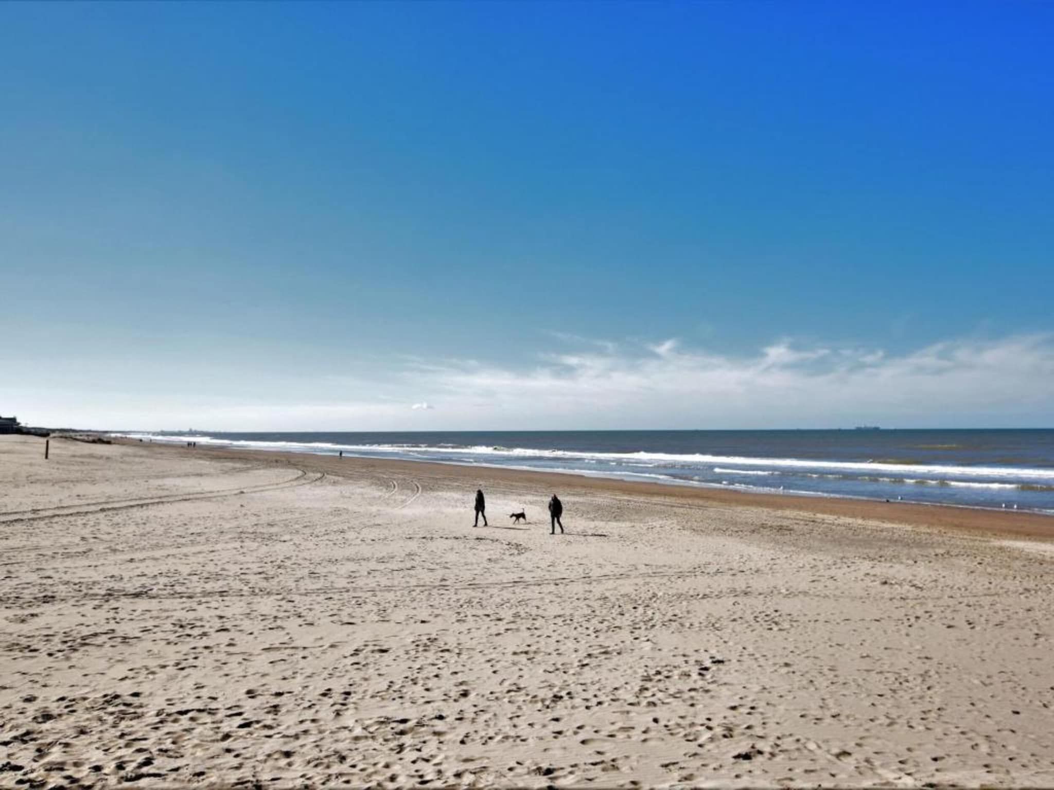De omgeving van Bungalowpark de Gouden Spar 4 in Noordwijk