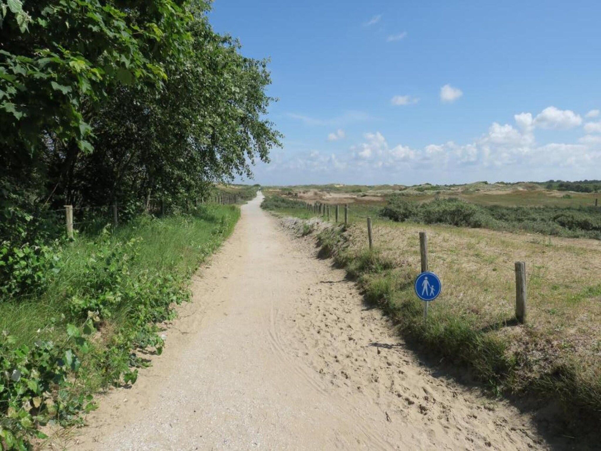 De omgeving van Bungalowpark de Gouden Spar 4 in Noordwijk