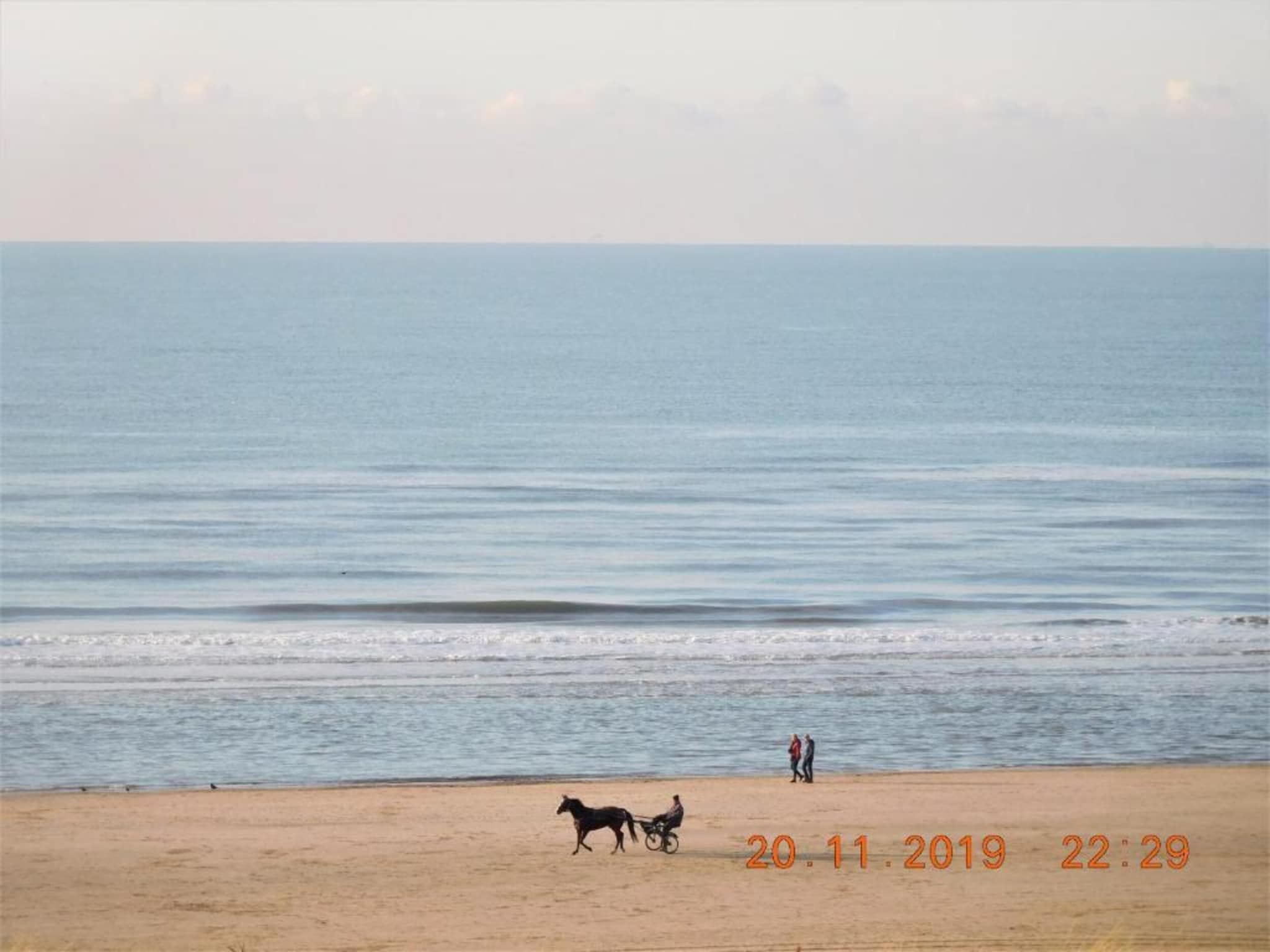 Helmgras II in Egmond aan zee - Foto 22 van 40
